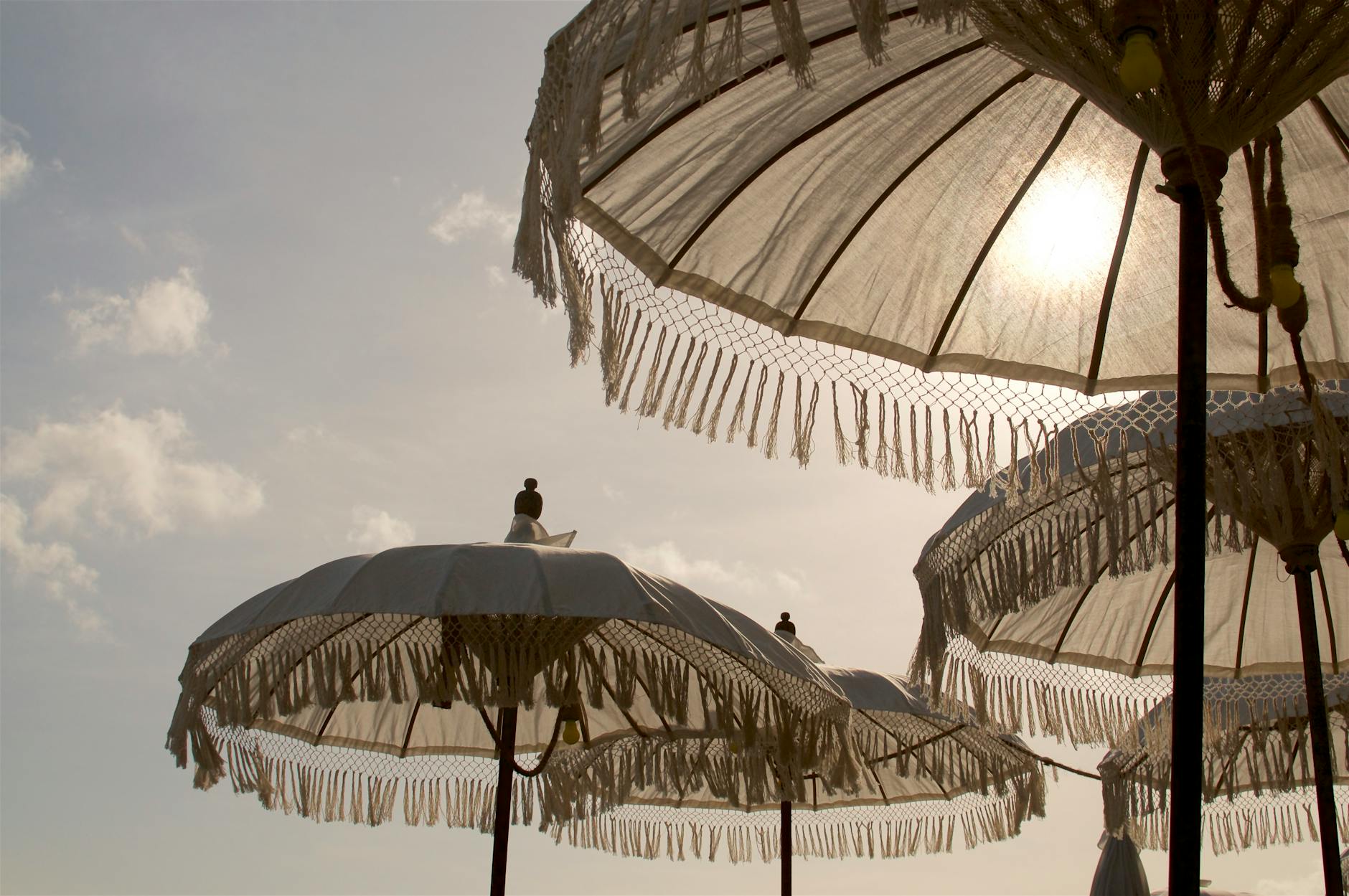 What to Expect — Canggu