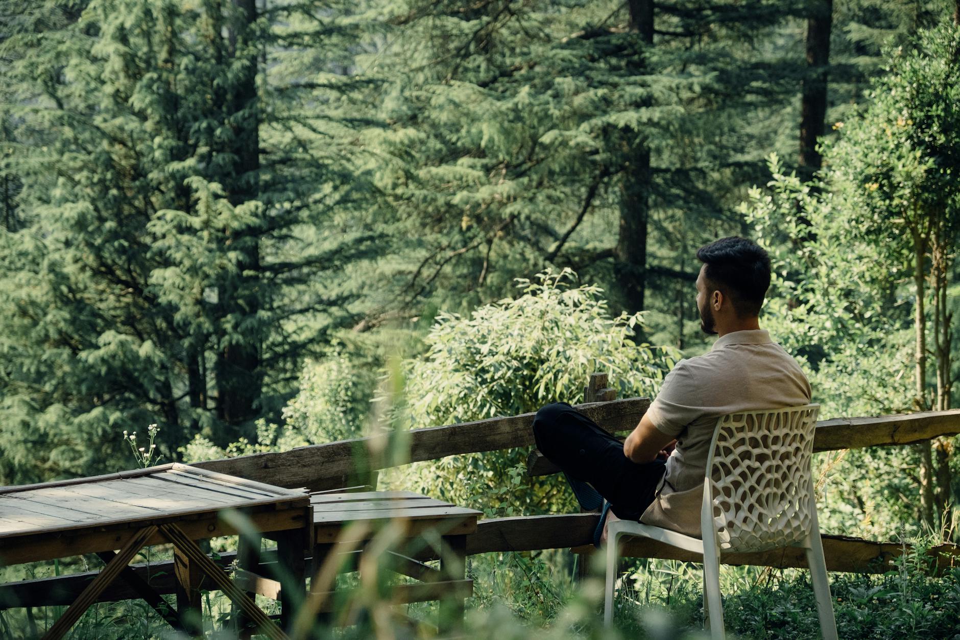 The Lifestyle — Chail