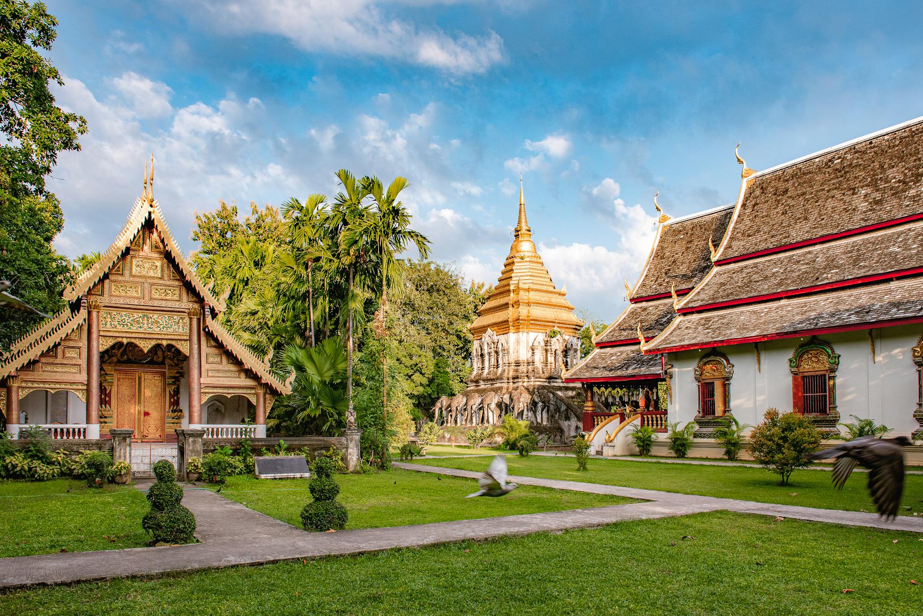 What to Expect — Chiang Mai