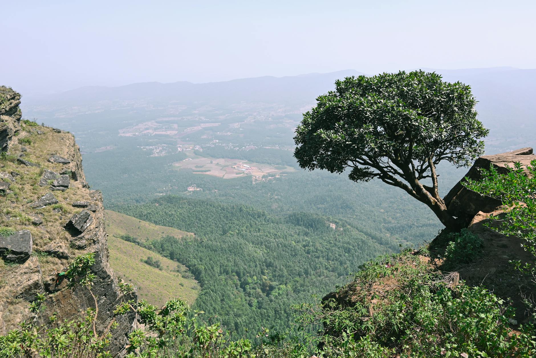 What to Expect — Chikkamagaluru