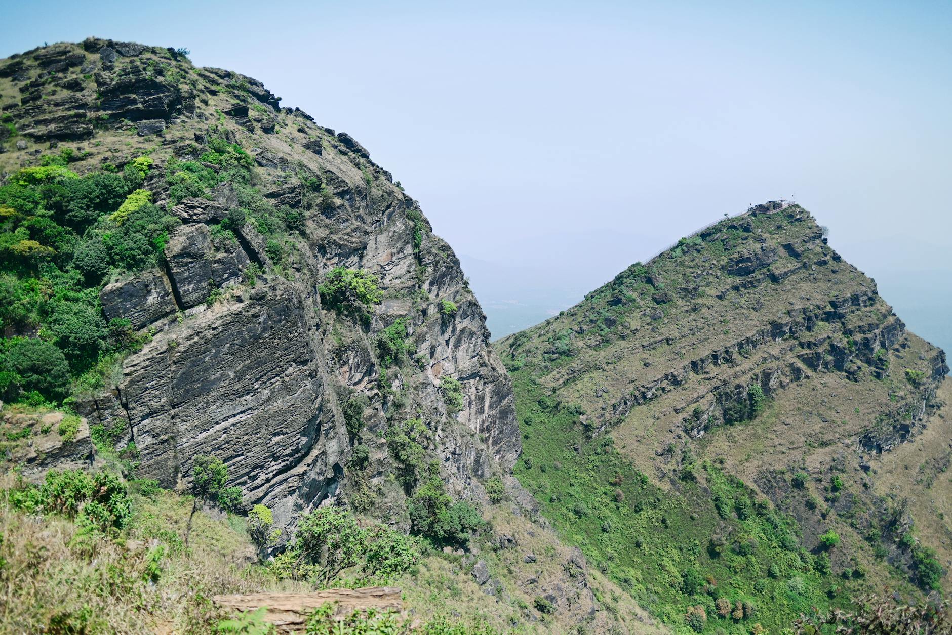 What to Expect — Chikkamagaluru