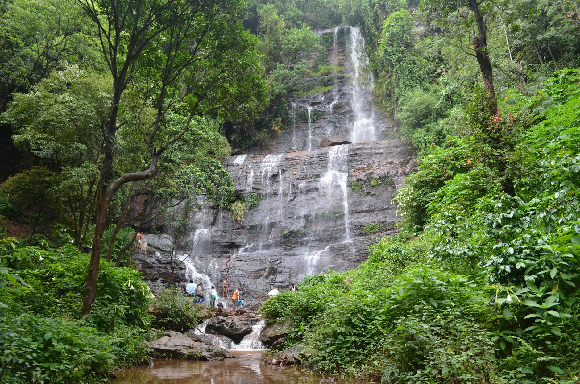 What to Expect — Chikmagalur