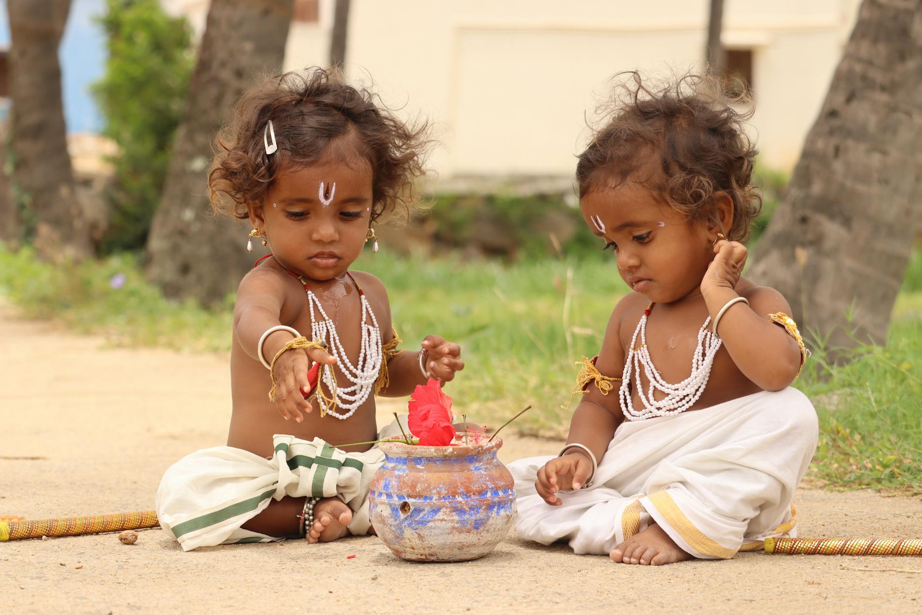 The Lifestyle — Chittoor
