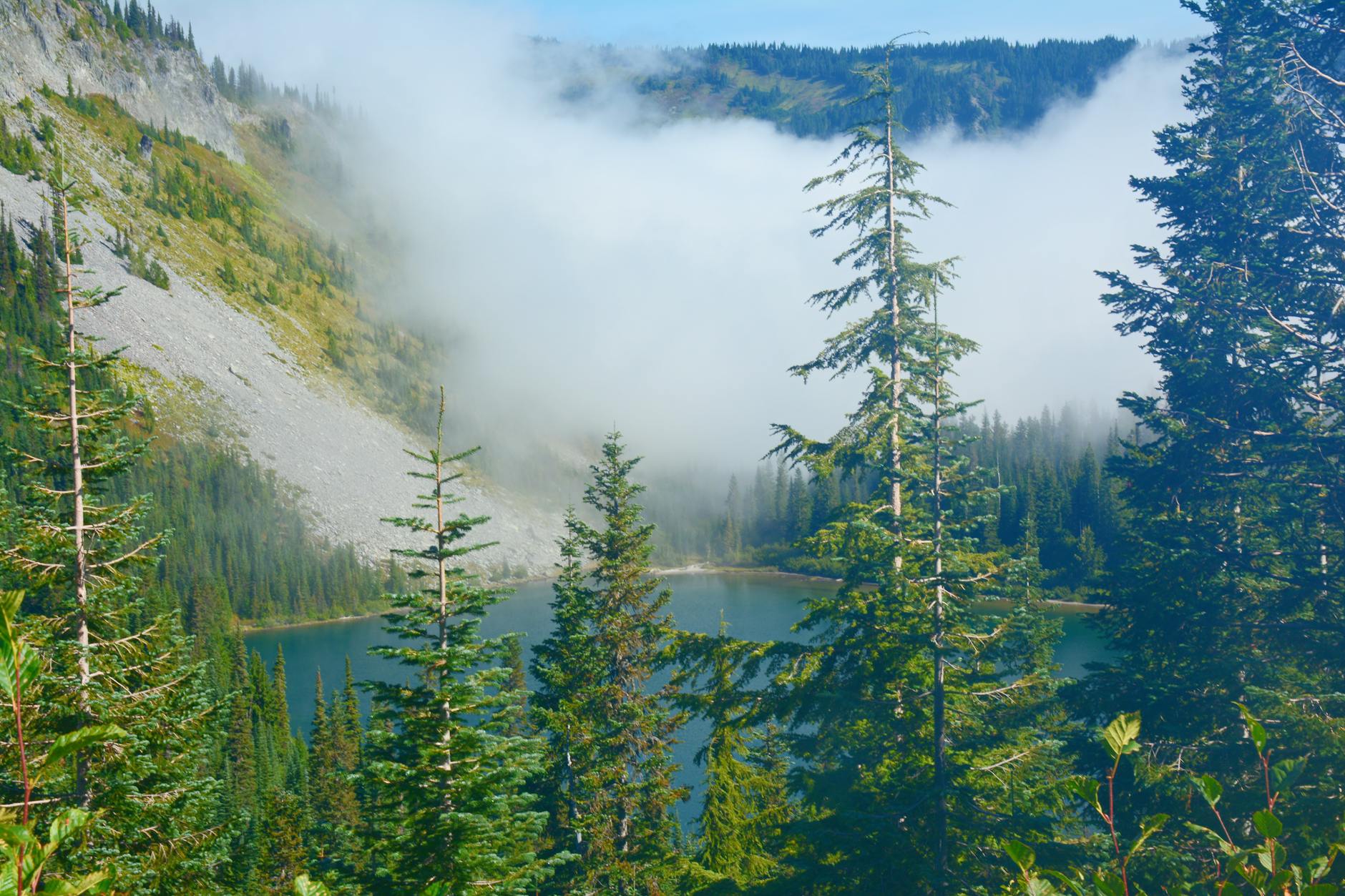What to Expect — Cle Elum