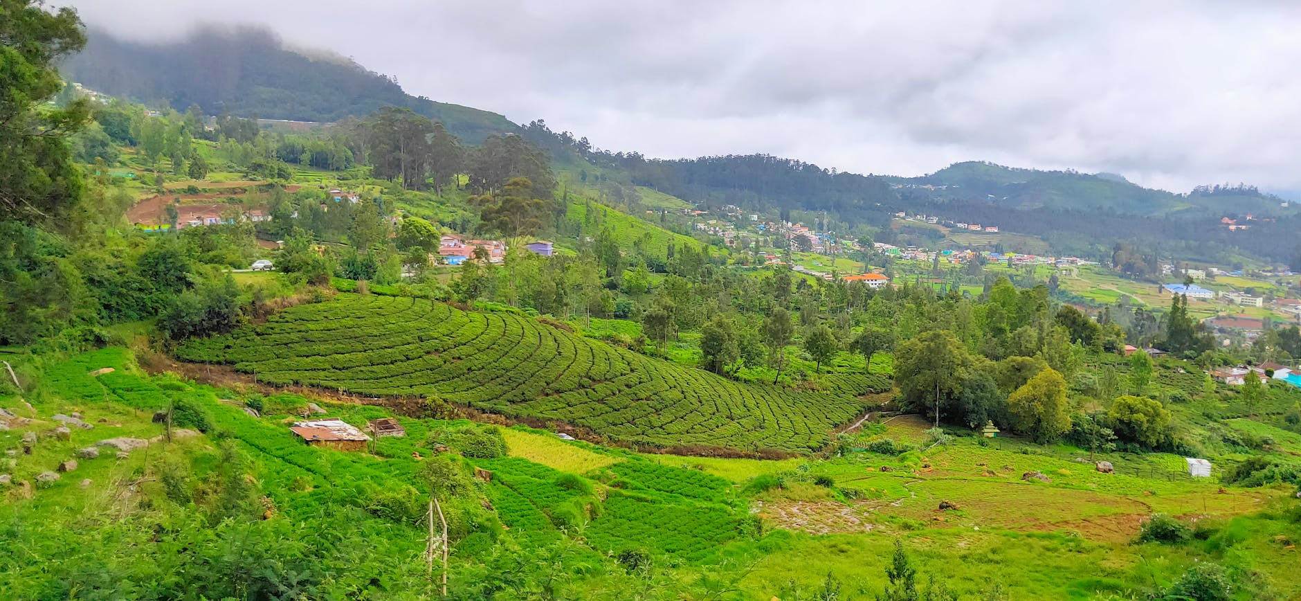Nearby Attractions — Coonoor