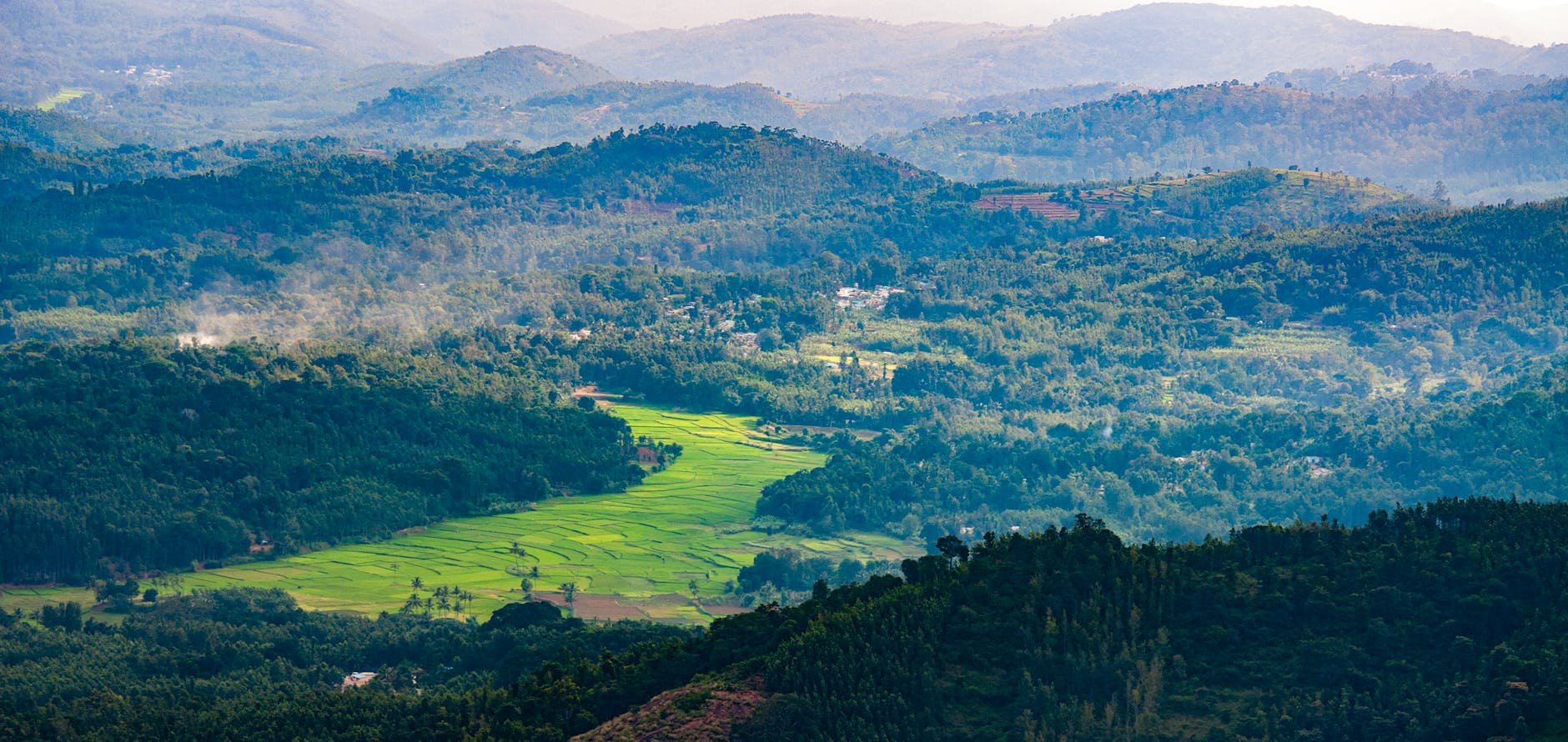 What to Expect — Coonoor