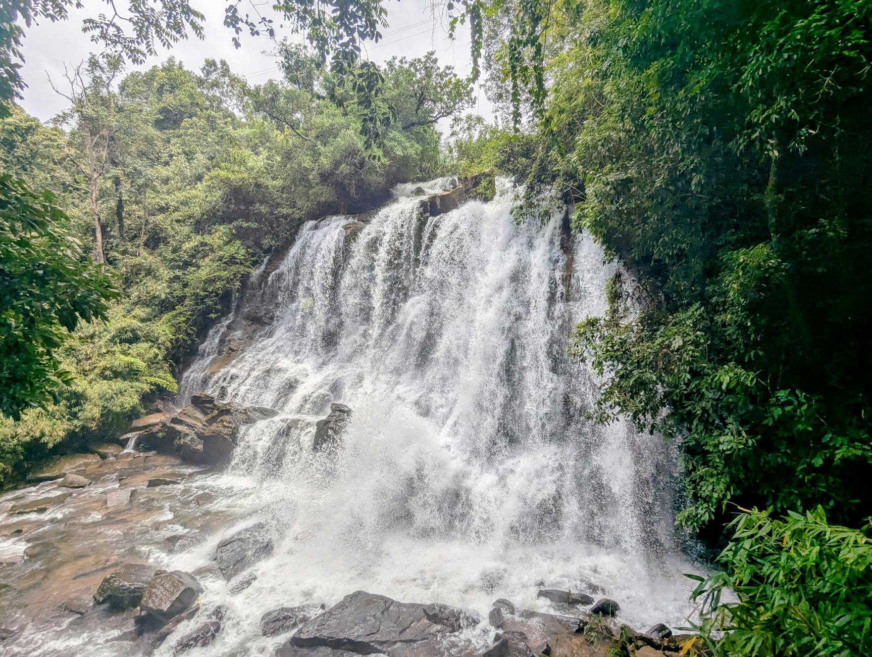 What to Expect — Coorg