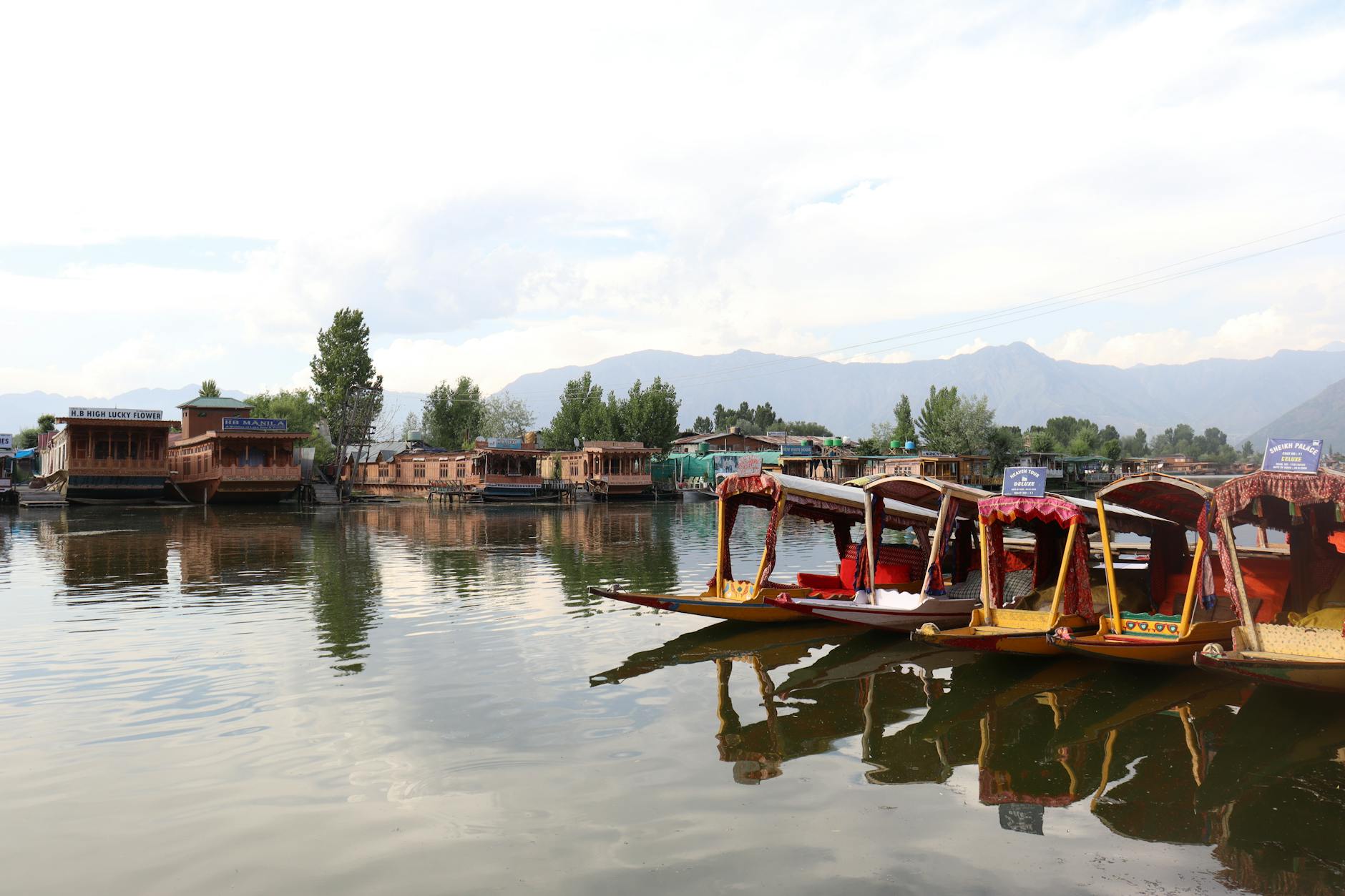 What to Expect — Dal Lake