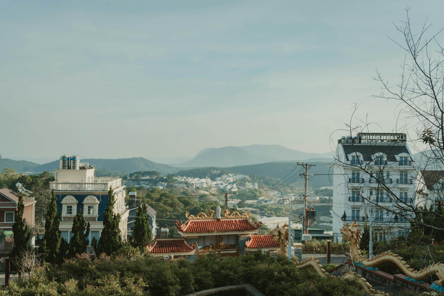 What to Expect — Dalat