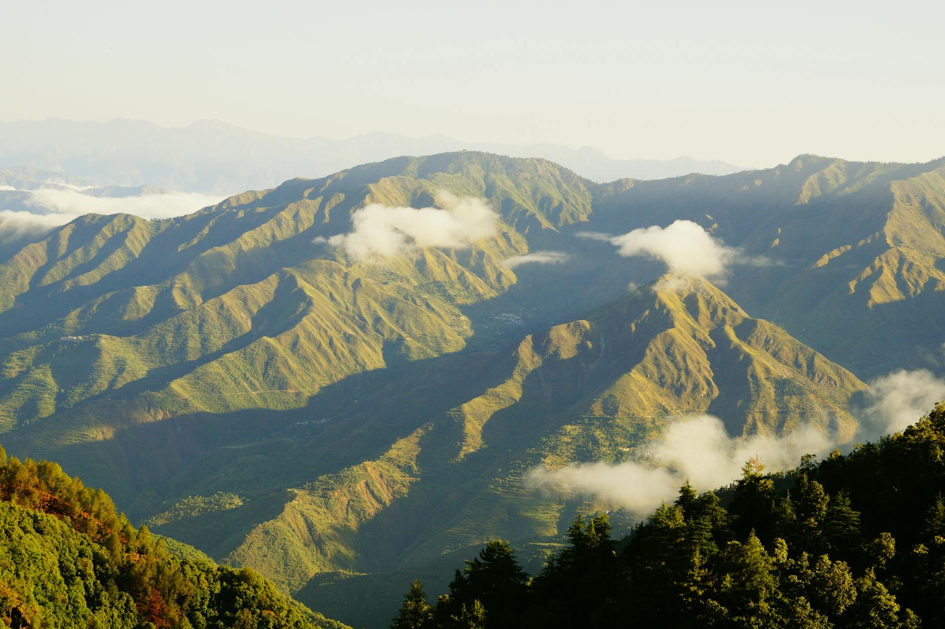 What to Expect — Dehradun