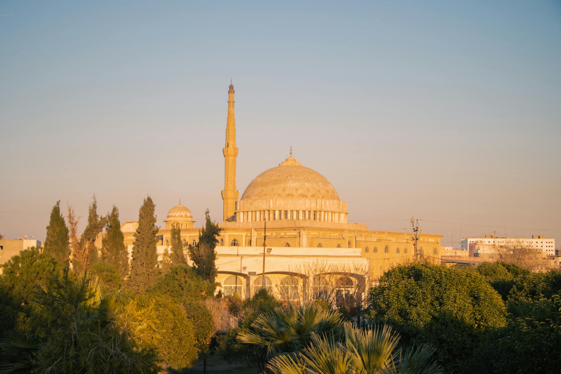 What to Expect — Erbil