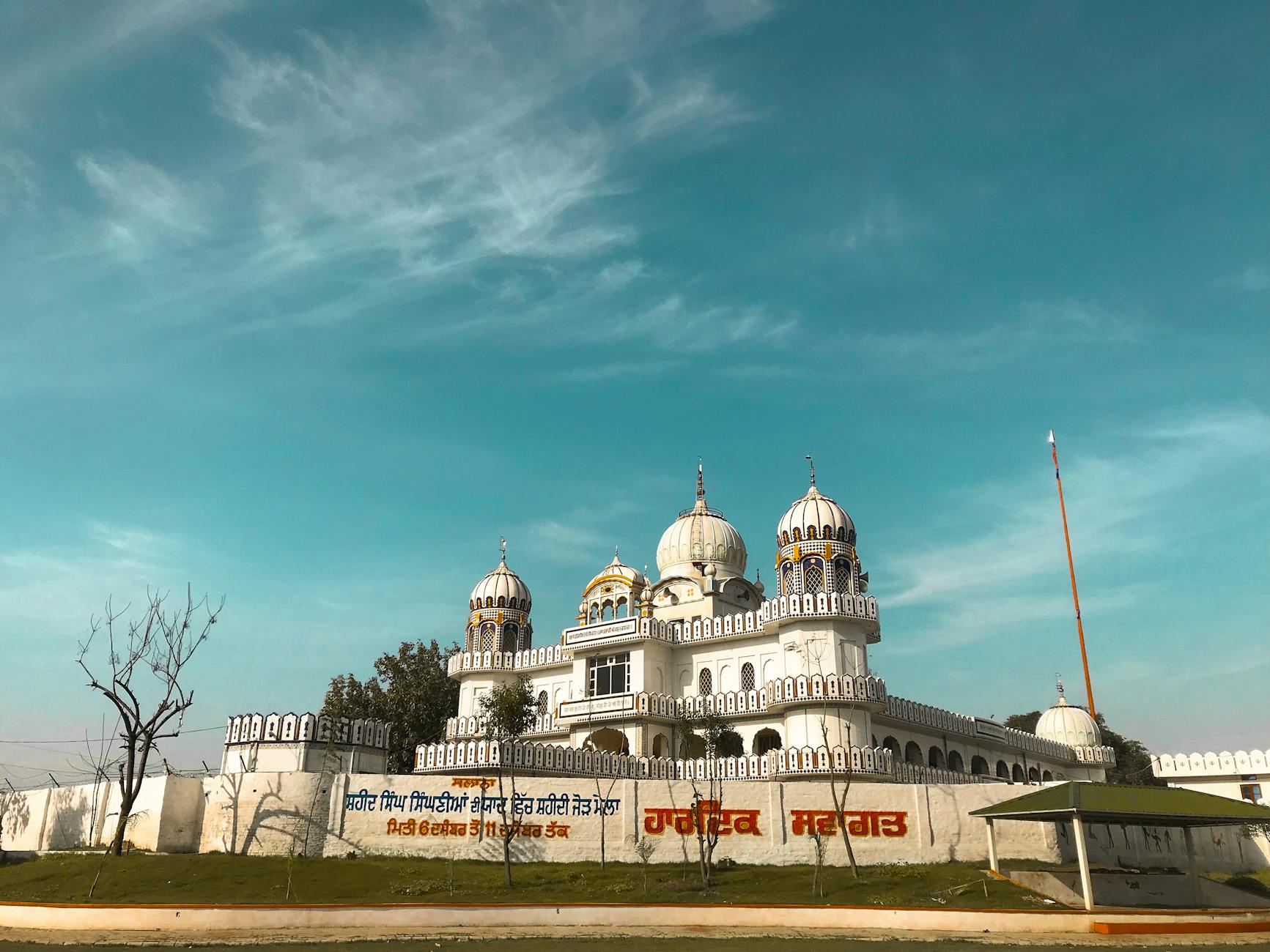 What to Expect — Firozpur
