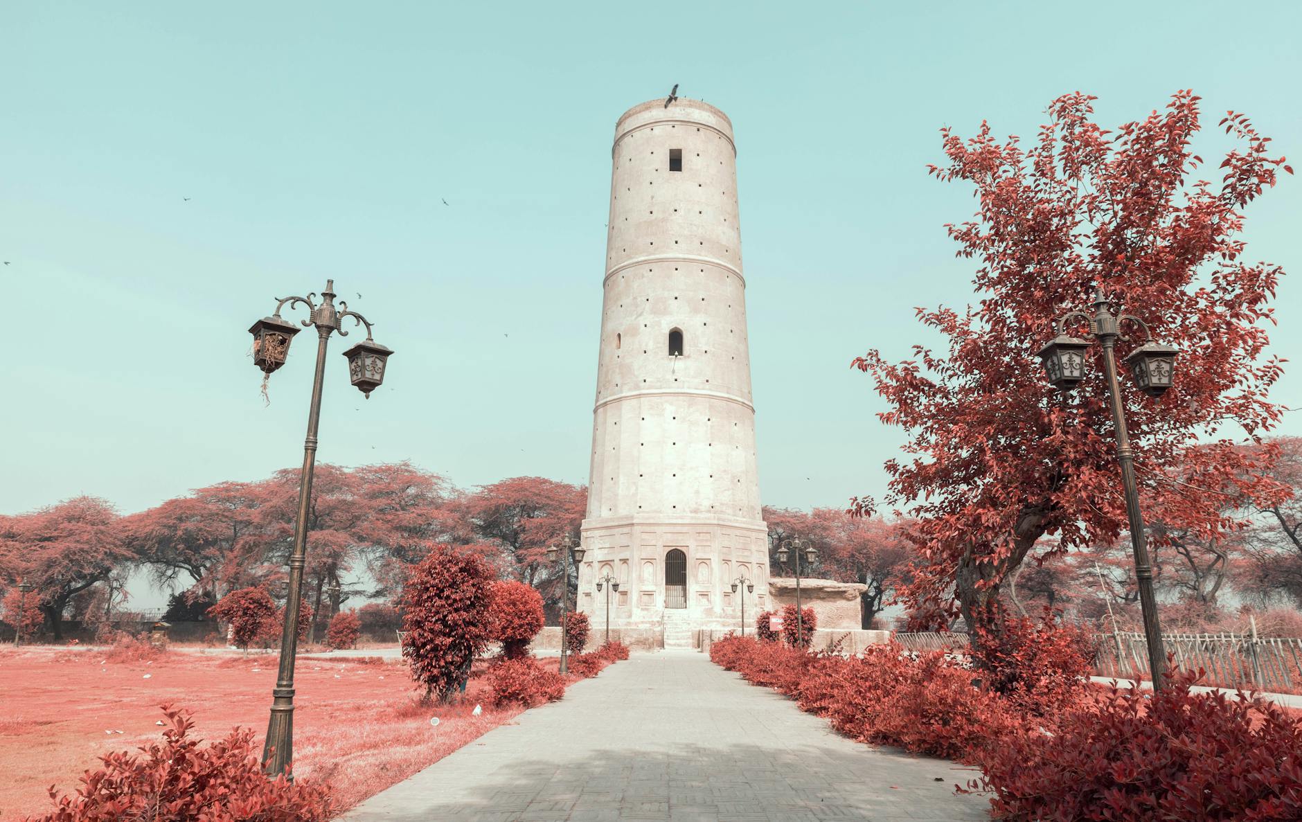 What to Expect — Firozpur