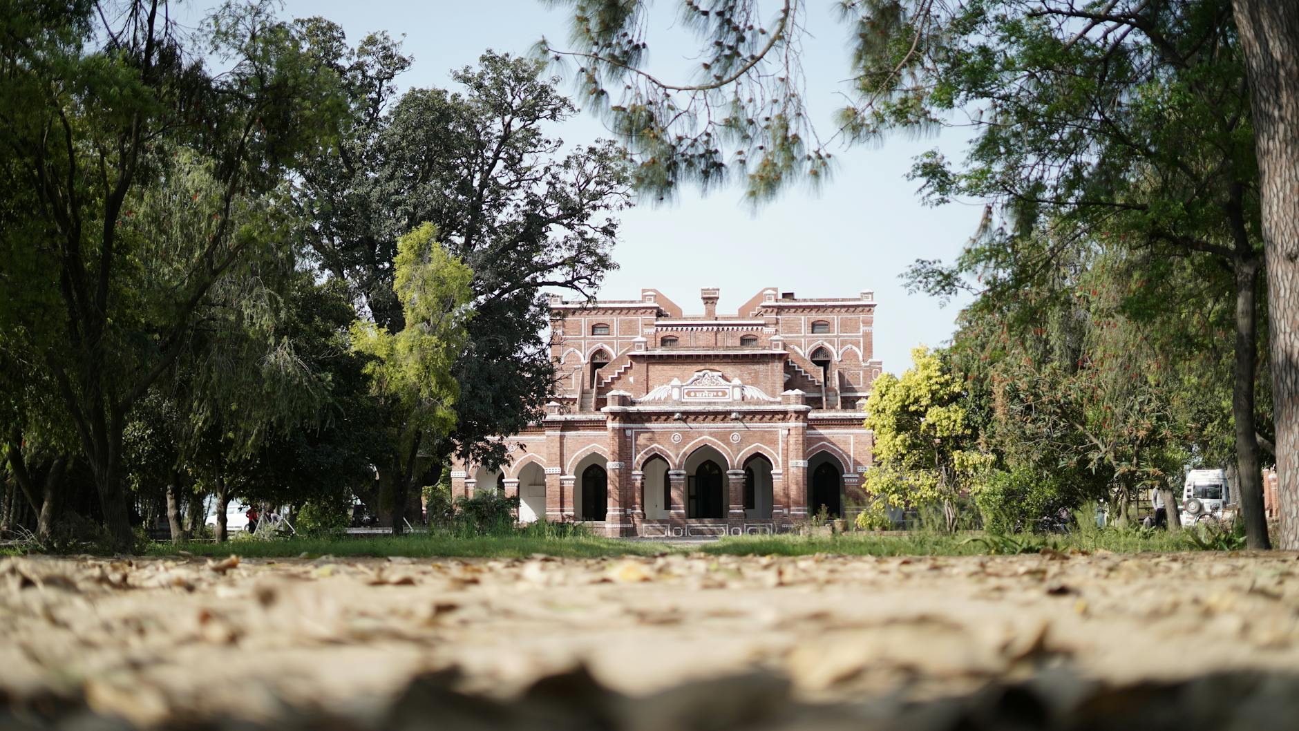 What to Expect — Firozpur