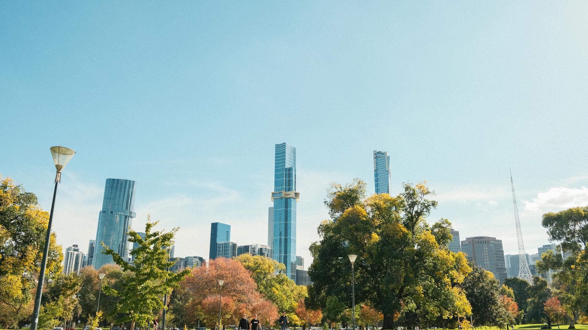 The Lifestyle — Fitzroy
