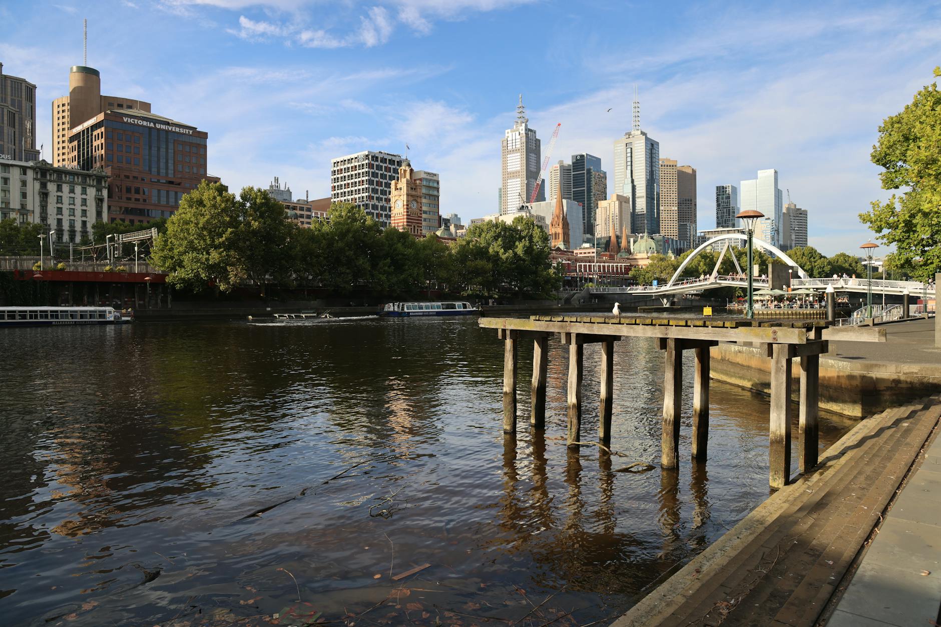 What to Expect — Fitzroy