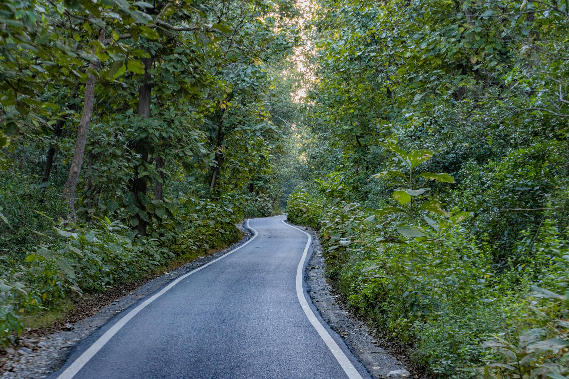 What to Expect — Gms Road