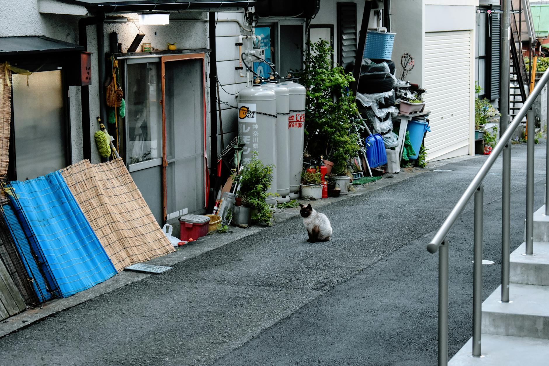A Look into Hakone — Hakone