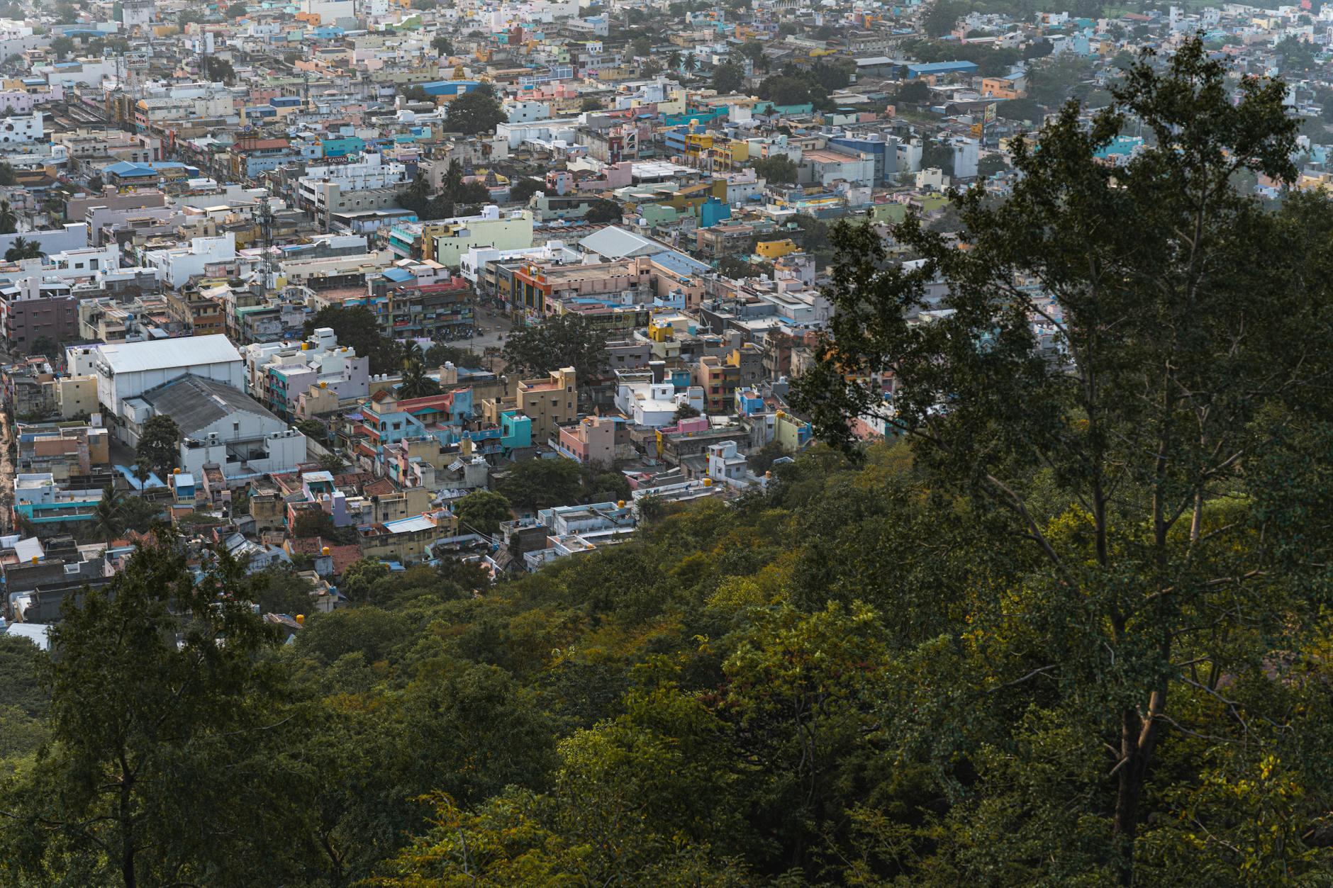 The Lifestyle — Hosur