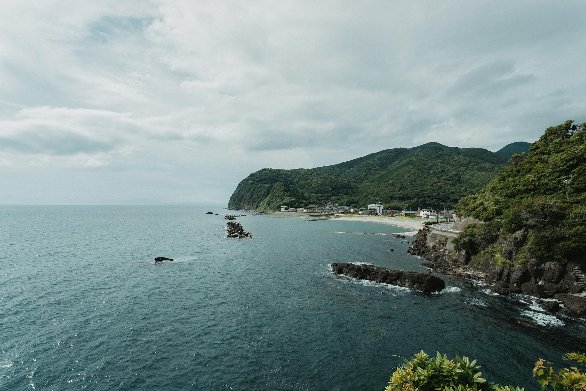 What to Expect — Izu Peninsula