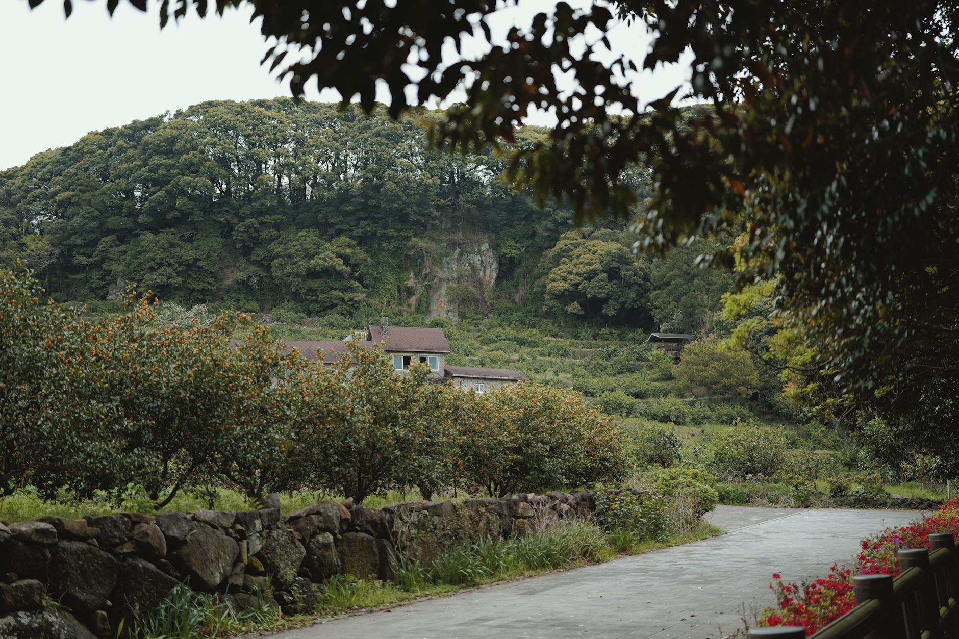 A Look into Jeju Island — Jeju Island
