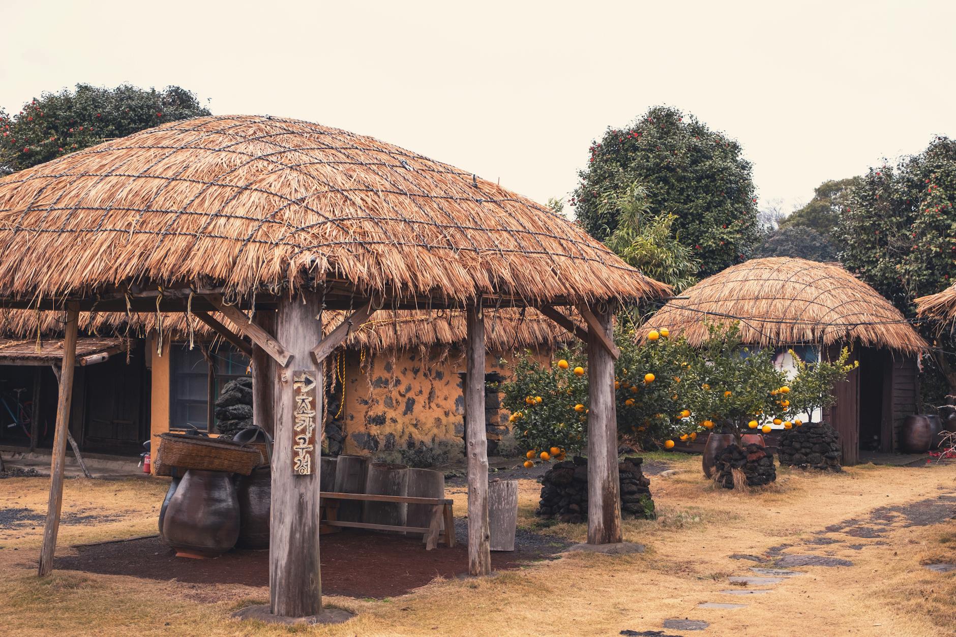 The Lifestyle — Jeju Island