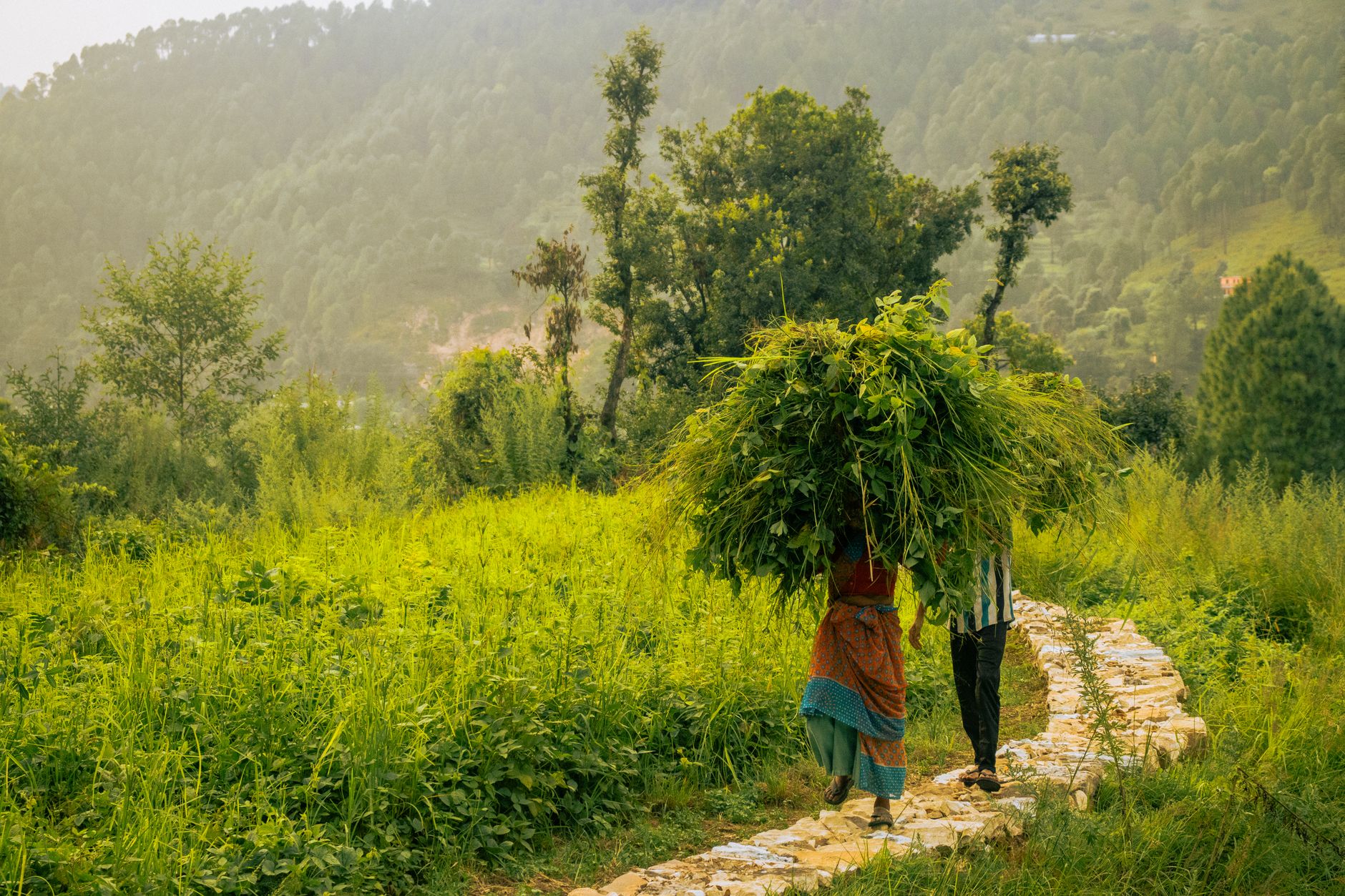 The Lifestyle — Jhinwali