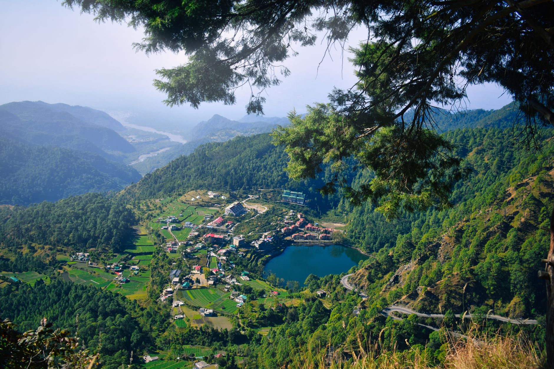 What to Expect — Jhinwali