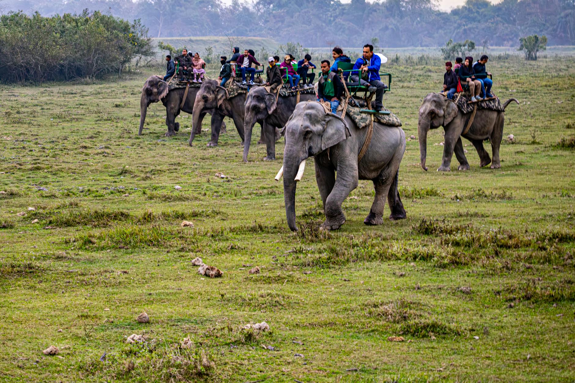 Nearby Attractions — Jorhat