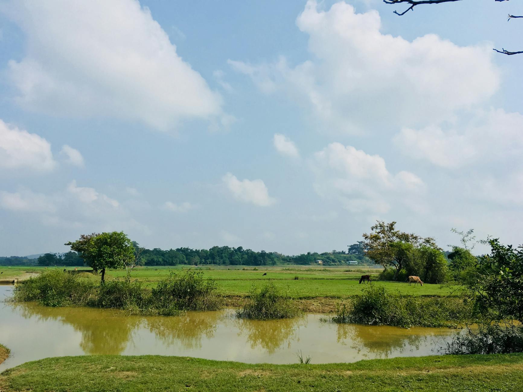 What to Expect — Jorhat