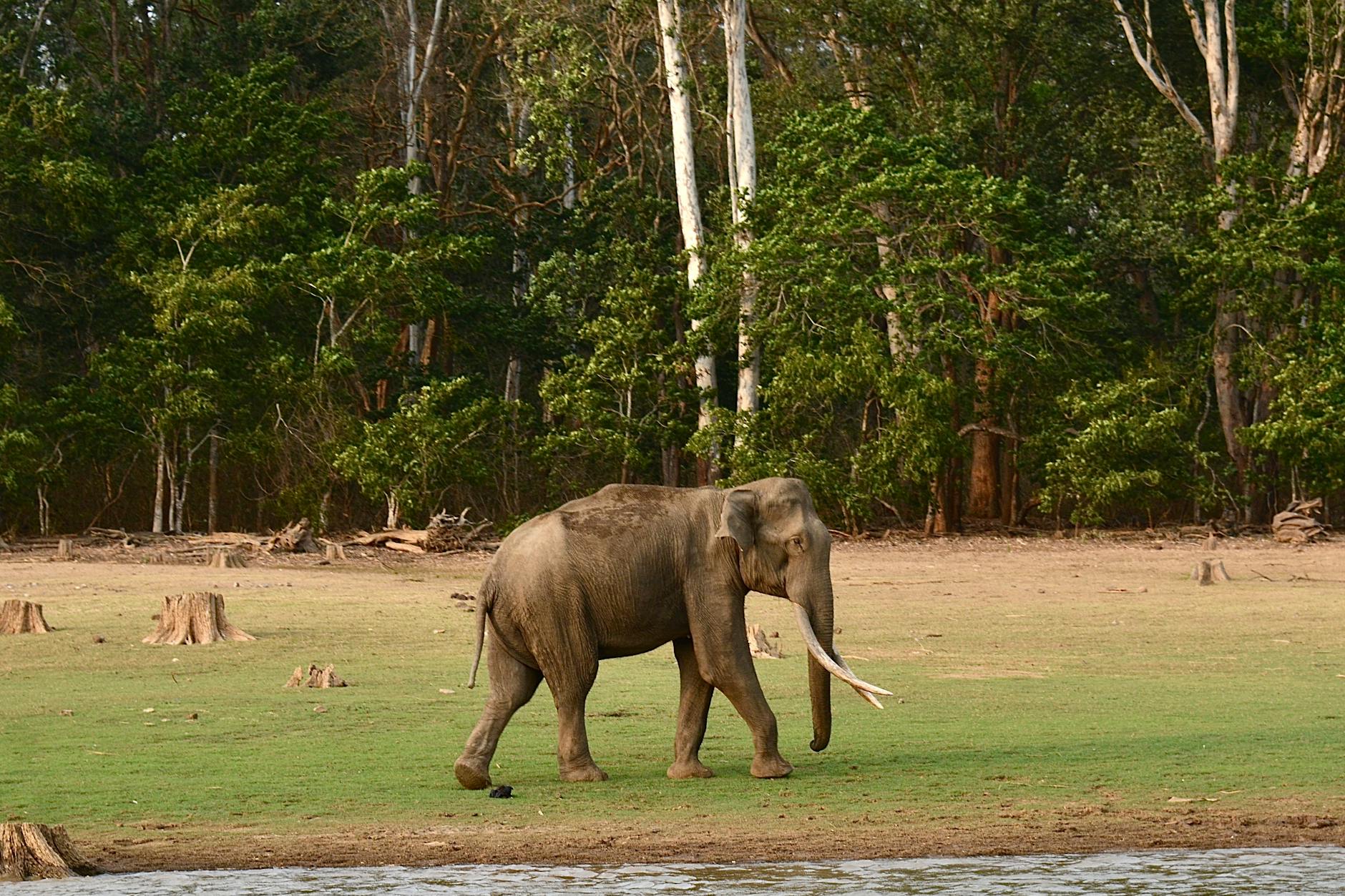 Nearby Attractions — Kabini