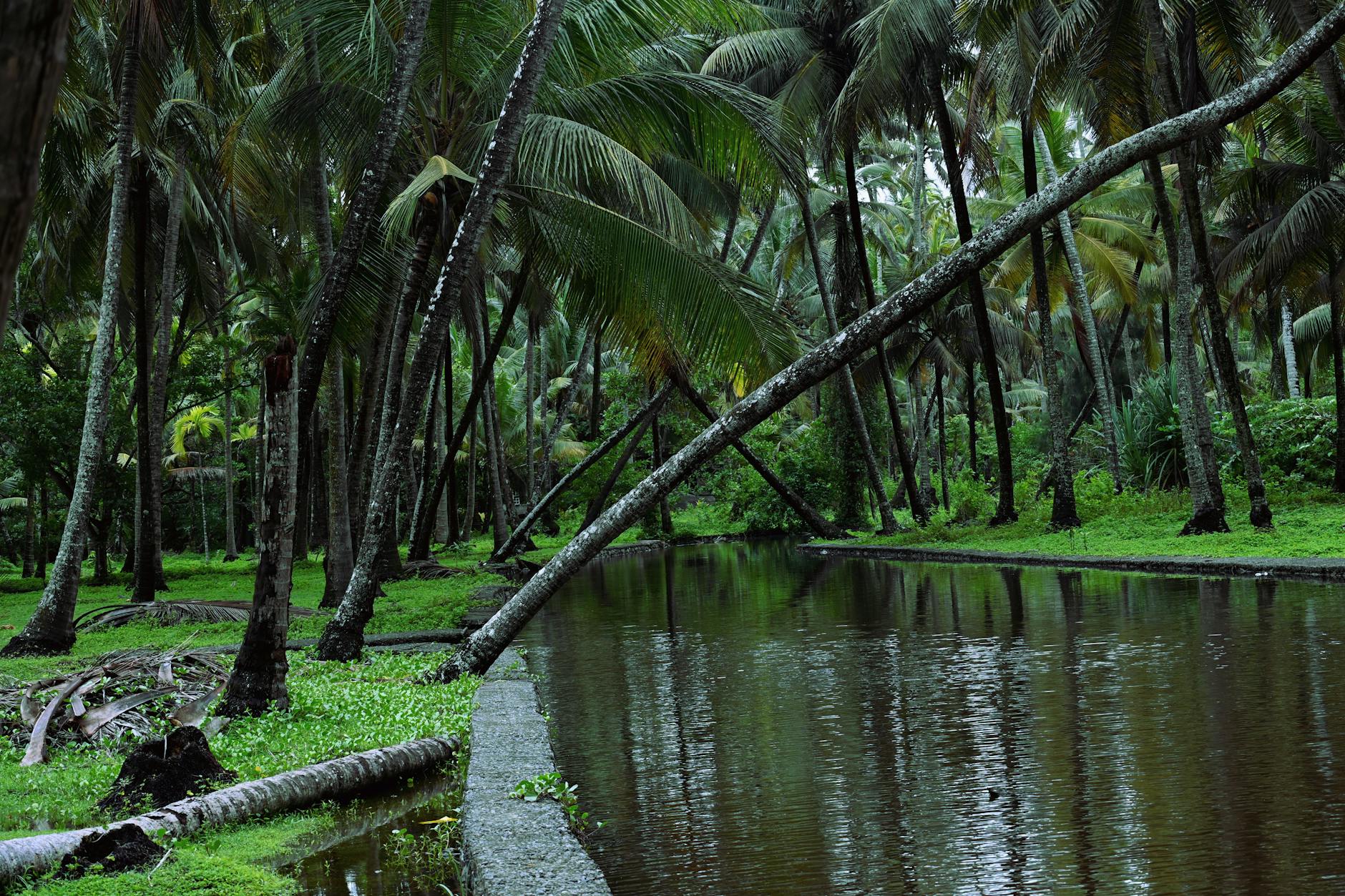 Nearby Attractions — Kadamakudy