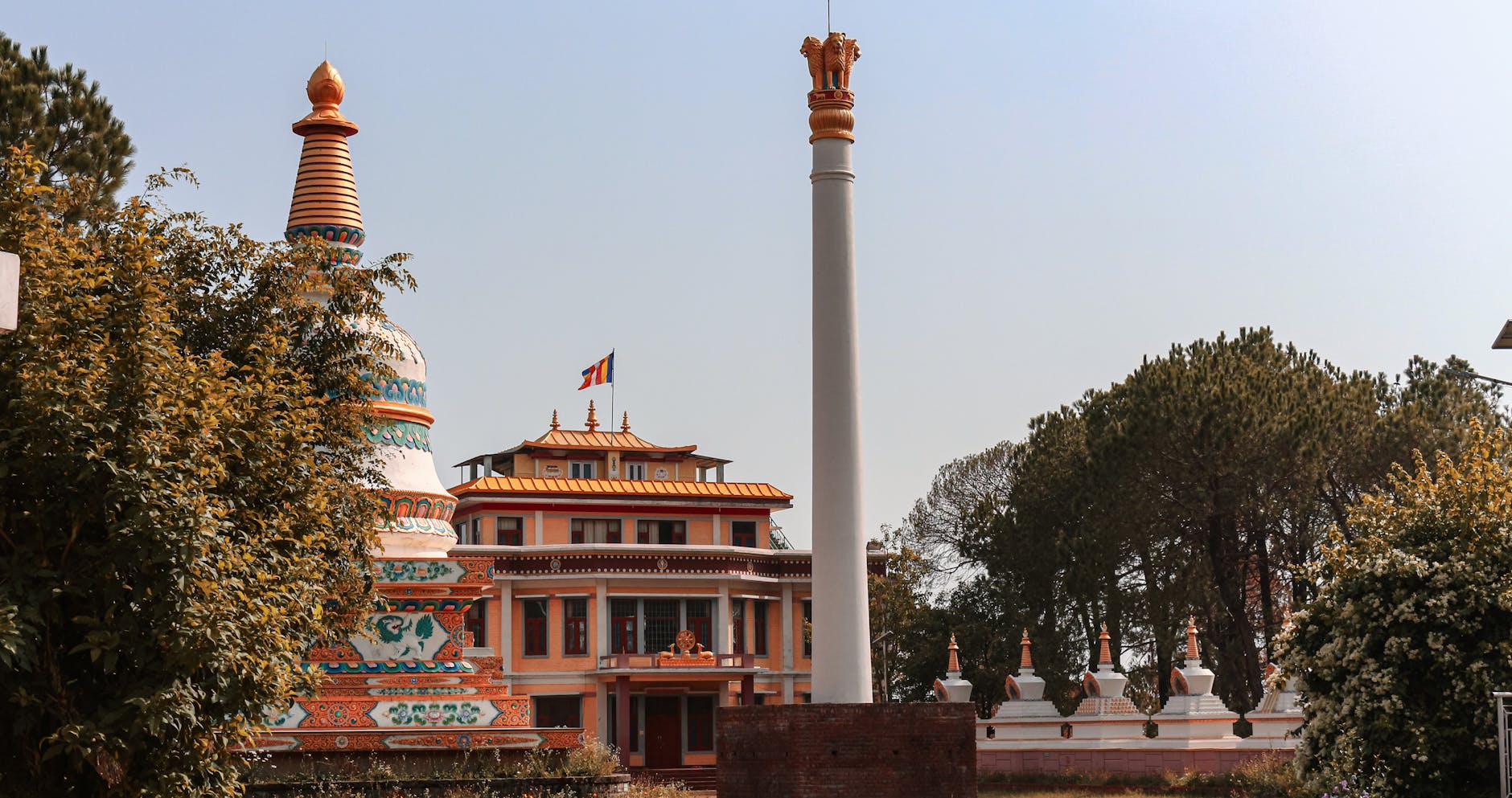 What to Expect — Kandaghat