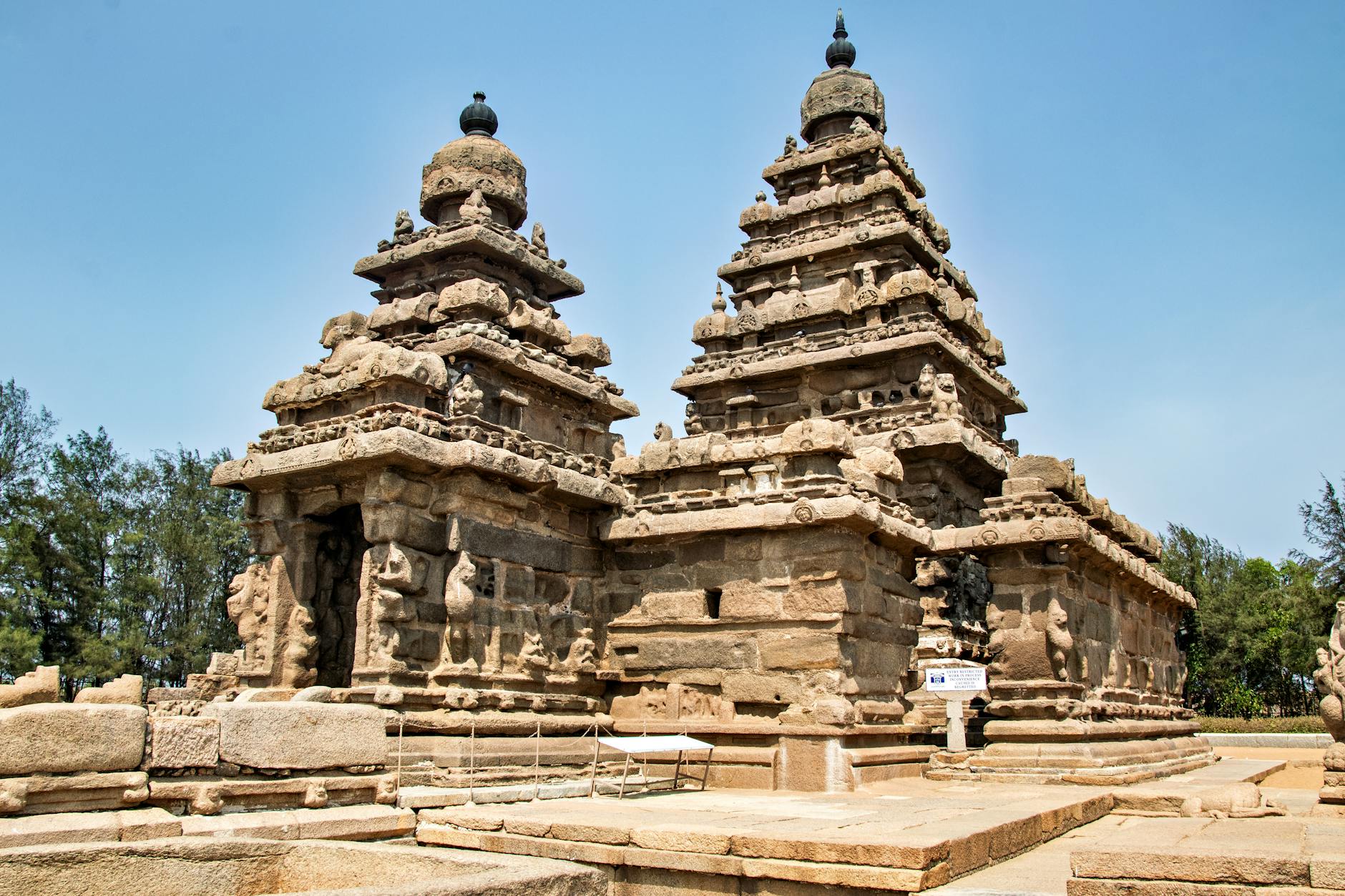 What to Expect — Kandigai