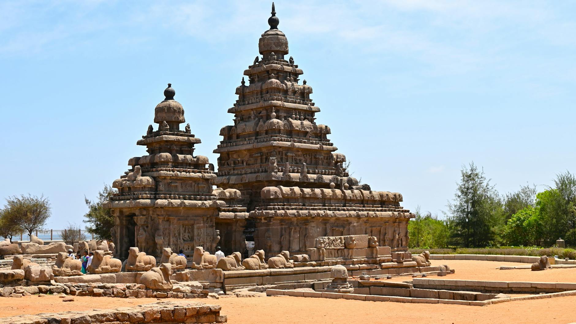What to Expect — Kandigai