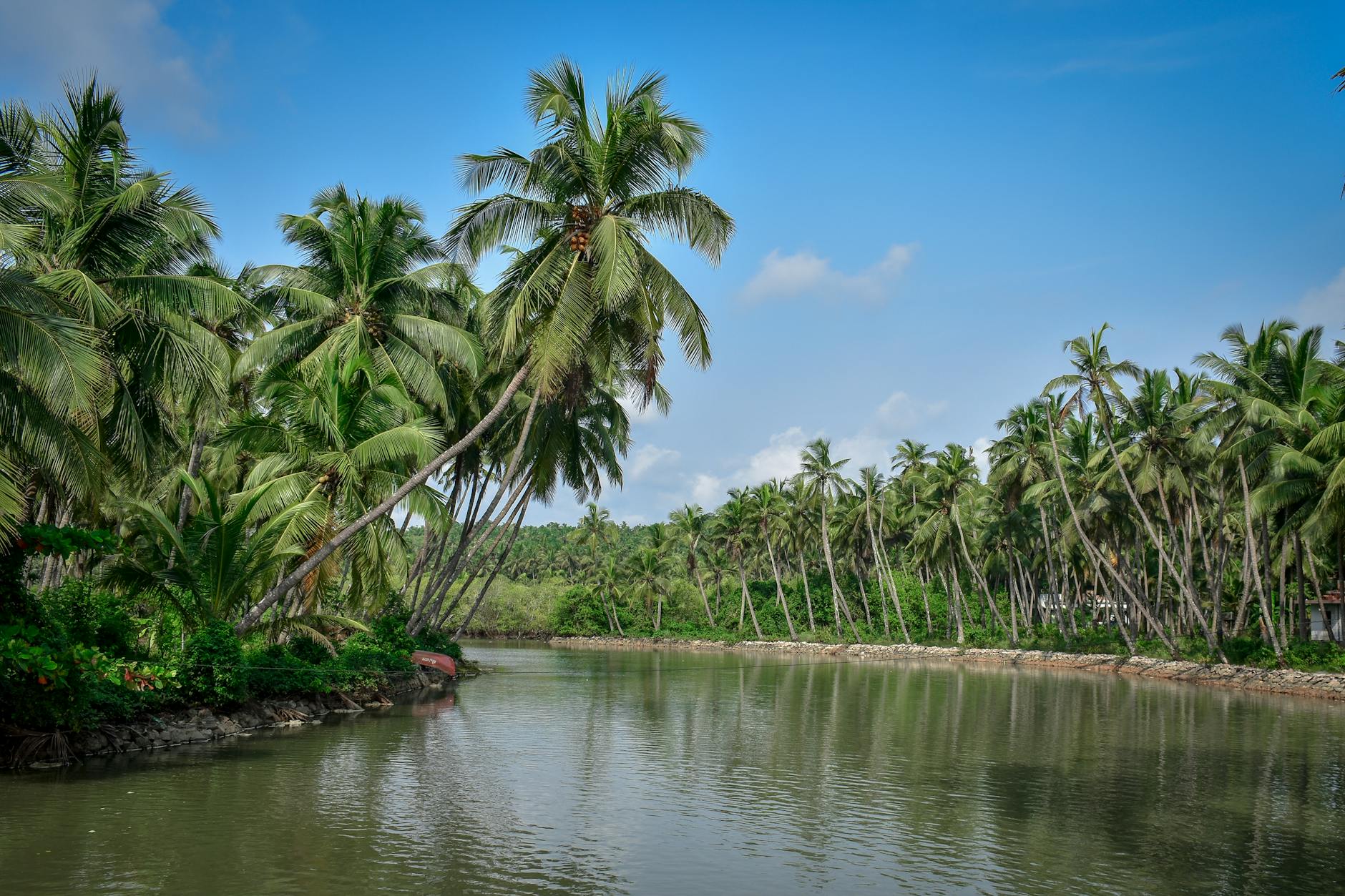 What to Expect — Kannur