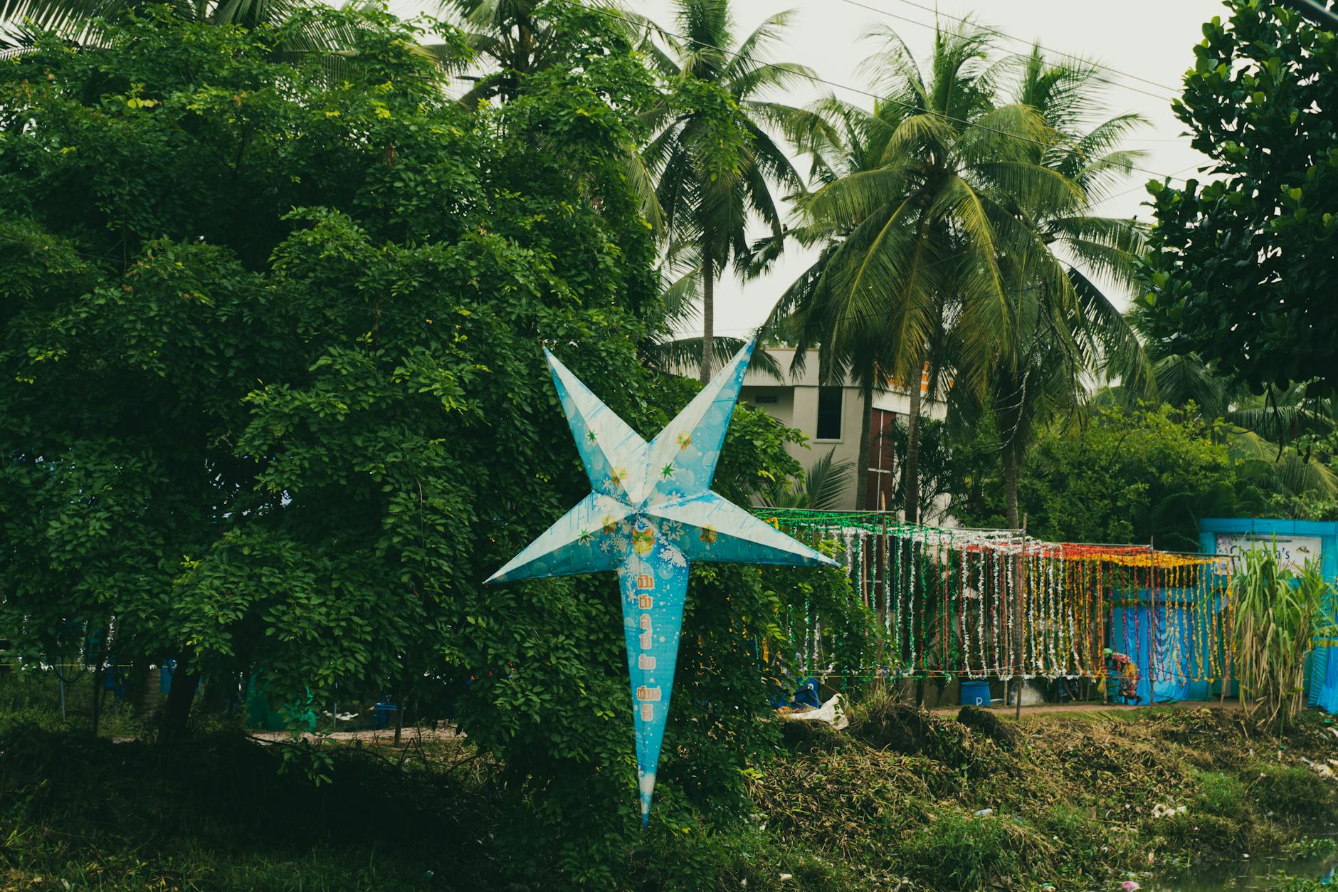 A Look into Kanugamakulapalle — Kanugamakulapalle