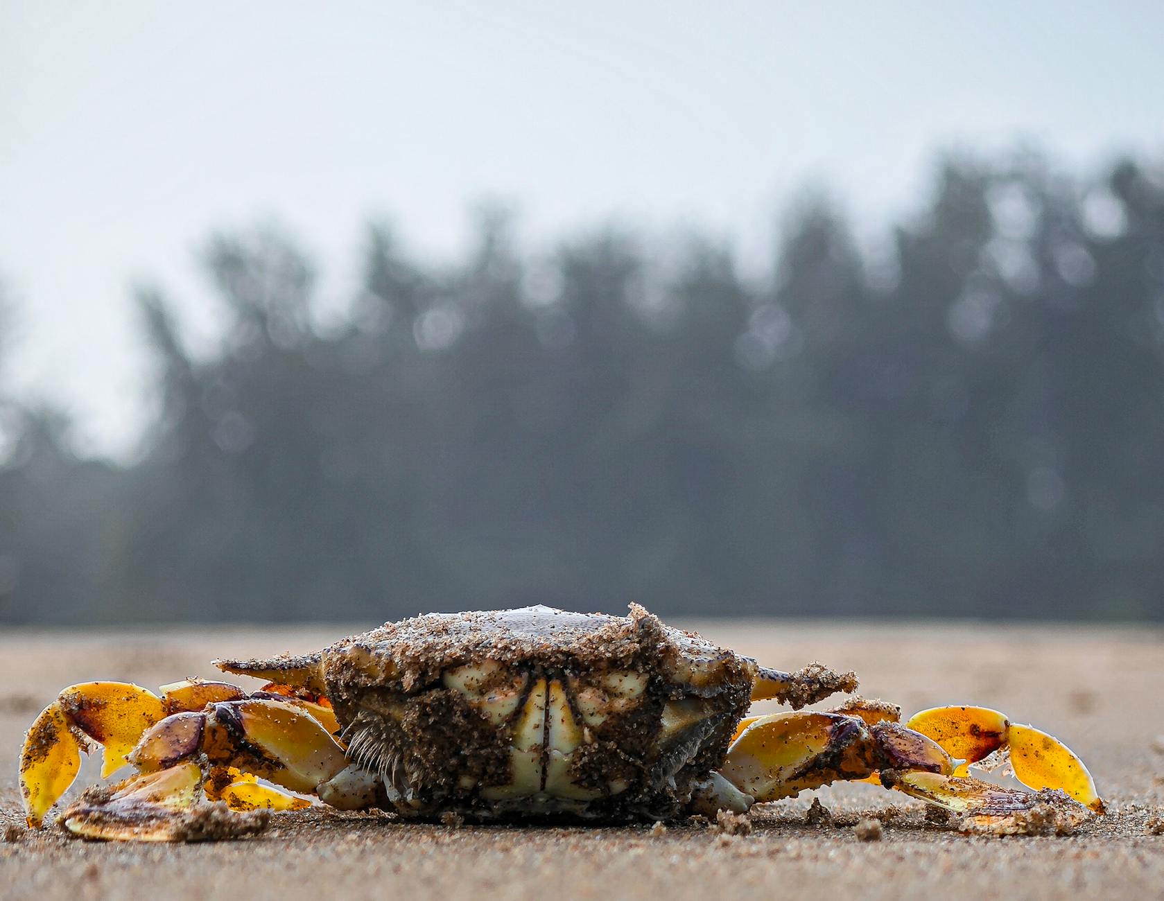 The Lifestyle — Karwar
