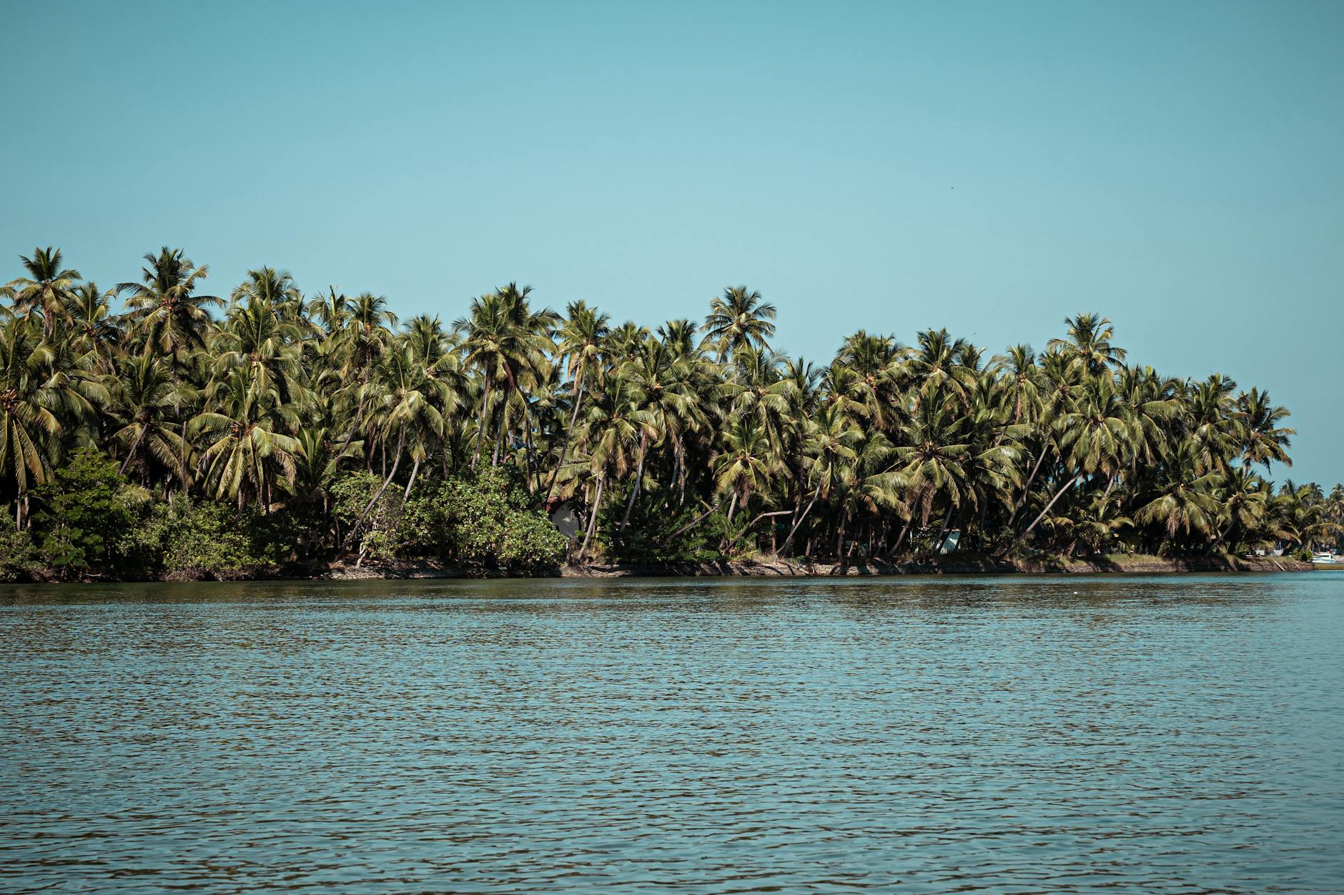What to Expect — Karwar