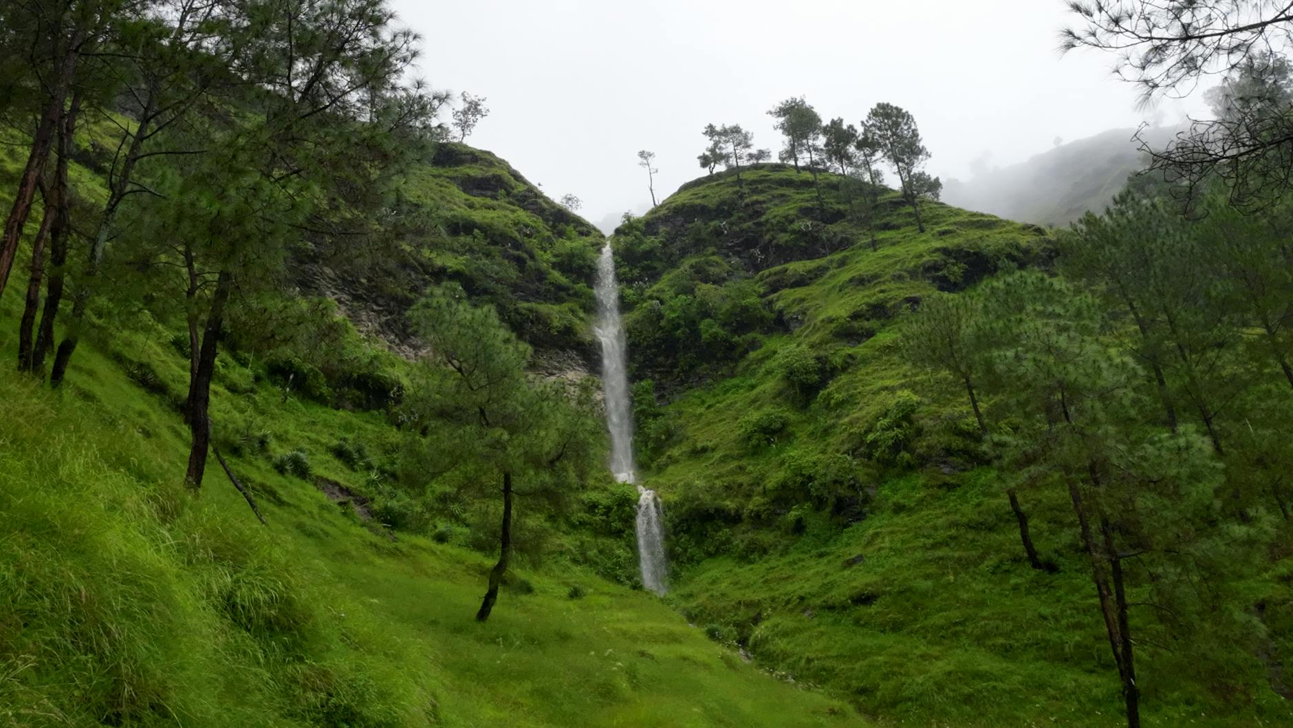 What to Expect ā Kasardevi