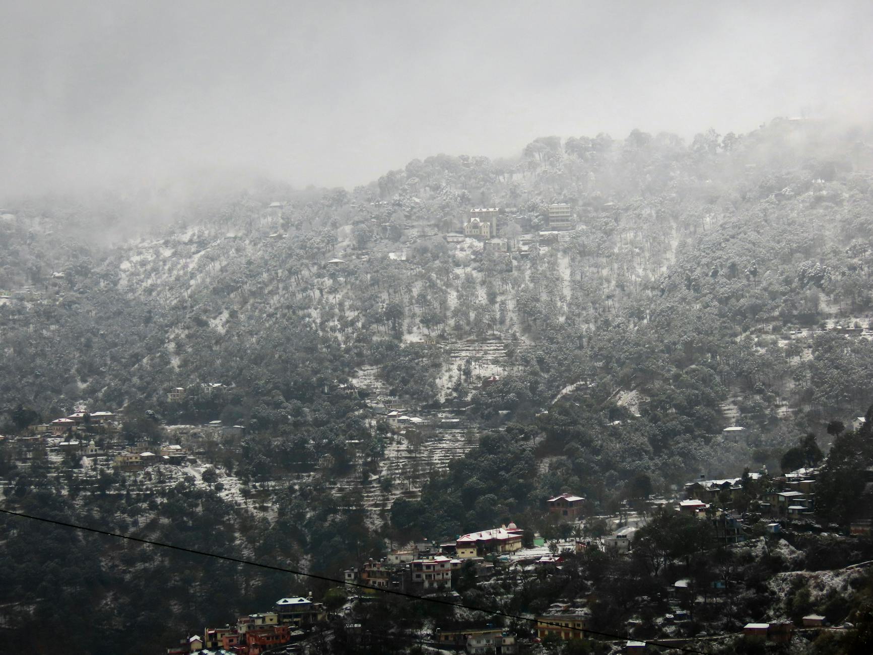 What to Expect — Kasauli