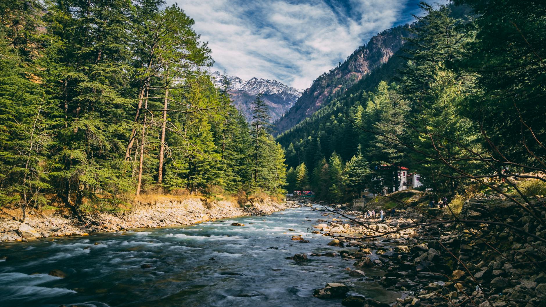 What to Expect — Kasol