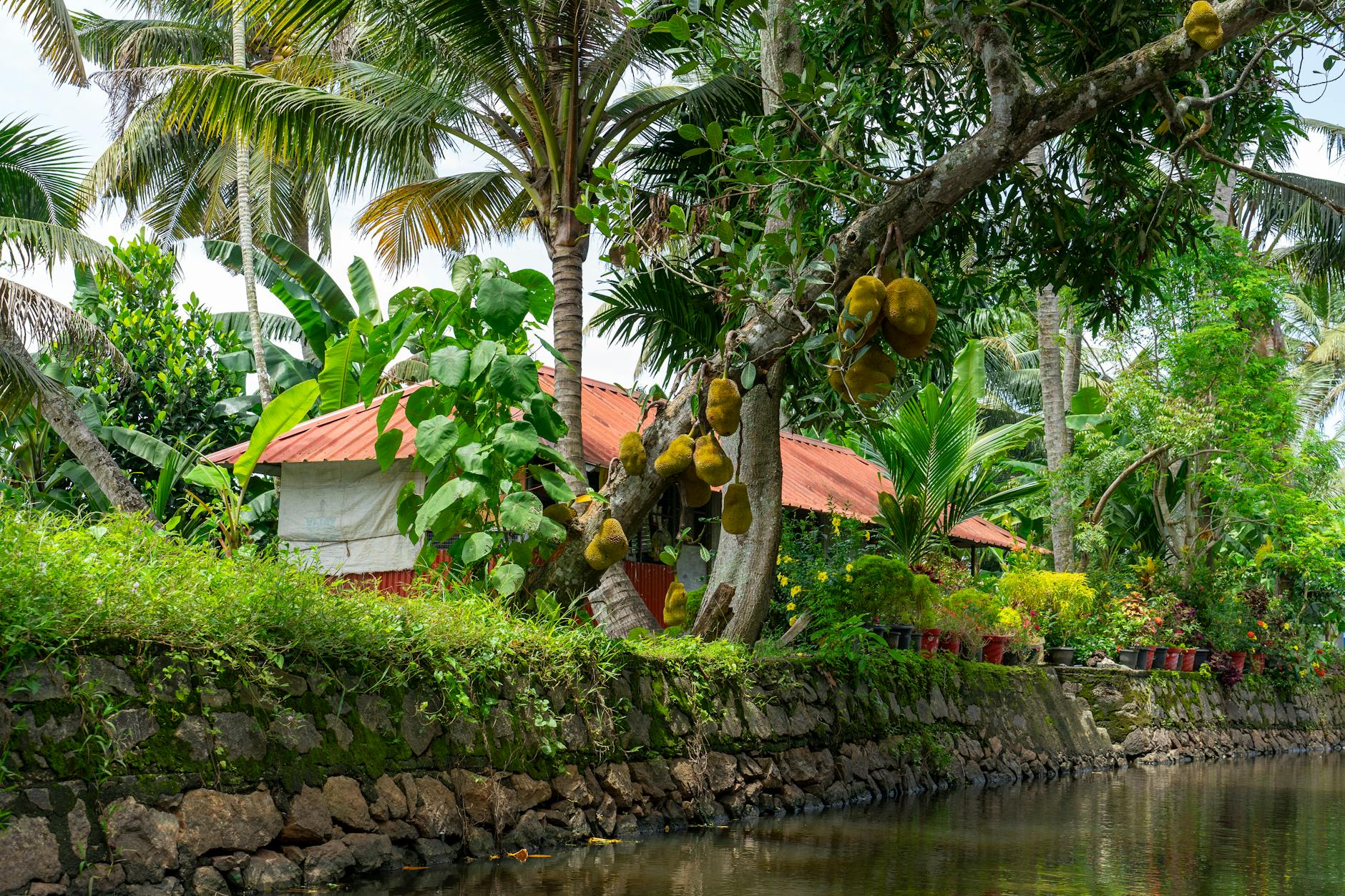 The Lifestyle — Kerala