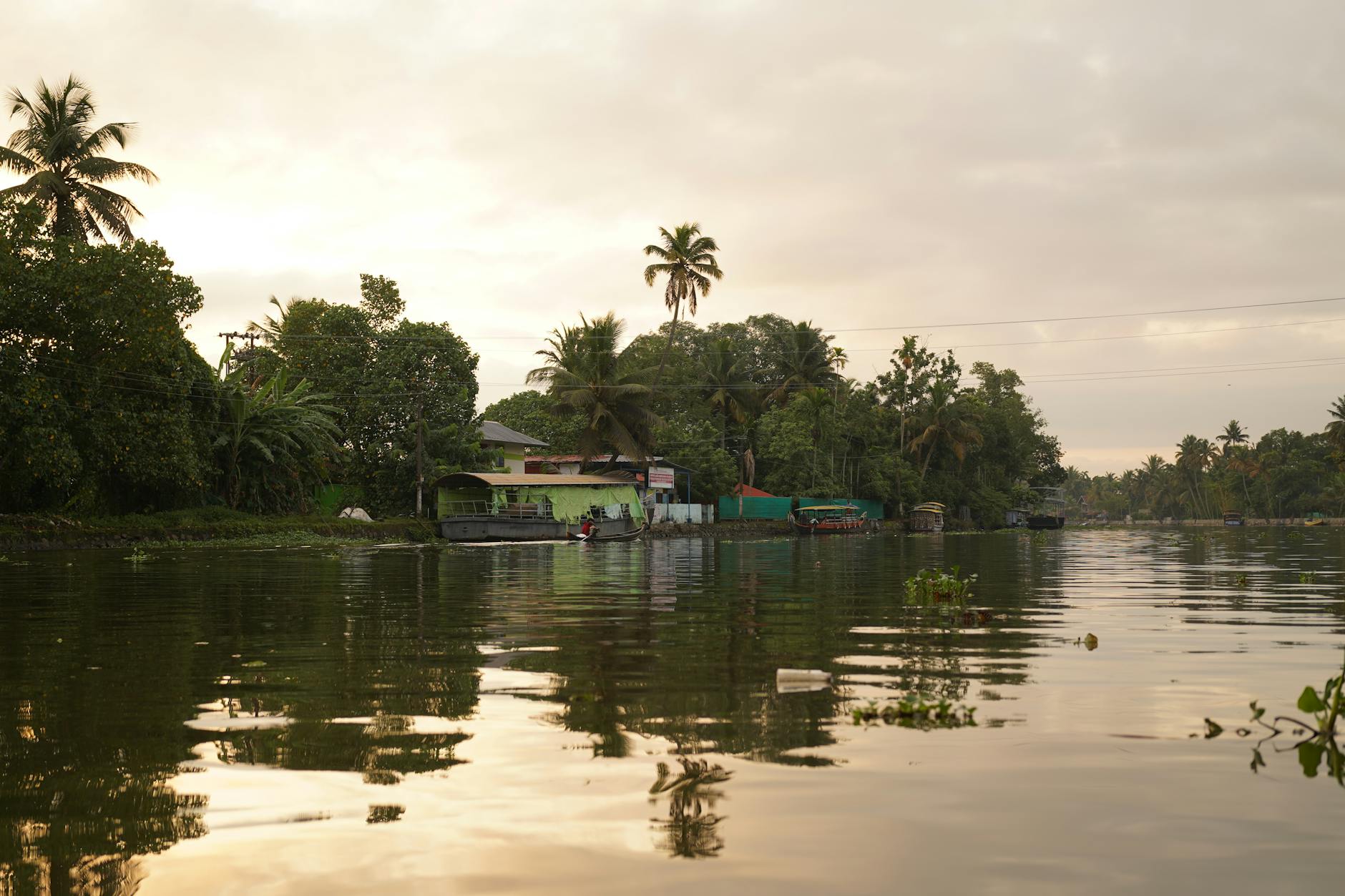 What to Expect — Kerala