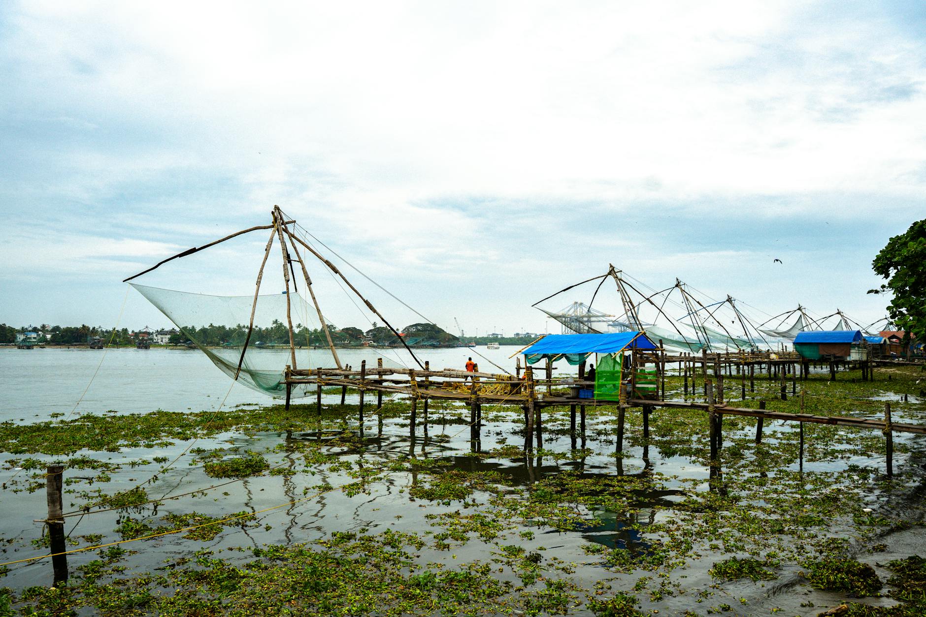 What to Expect — Kochi