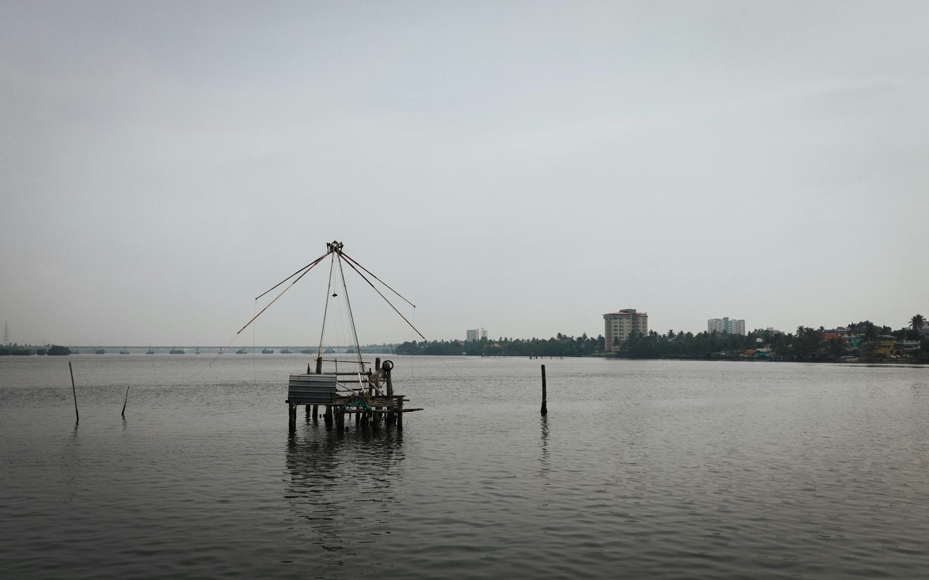 What to Expect — Kochi