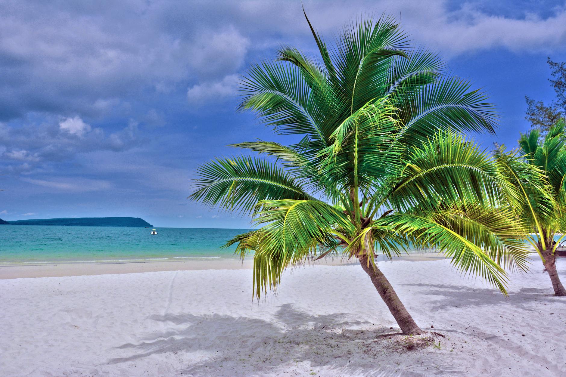 What to Expect — Koh Ta Kiev