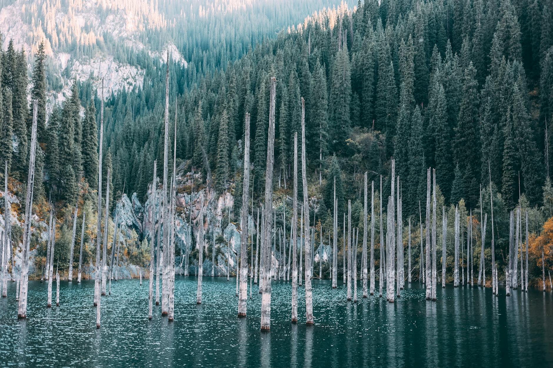 The Lifestyle — Kolsai Lakes Area