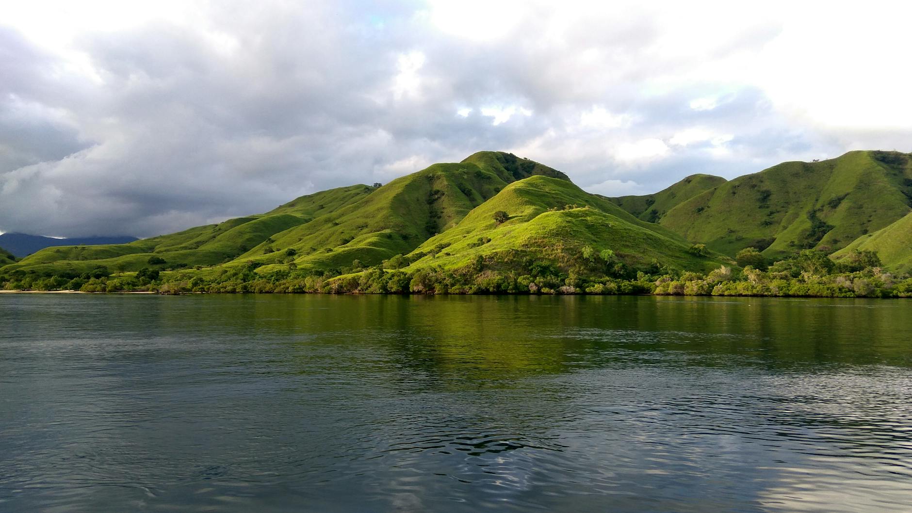 The Lifestyle ā Komodo Fringe