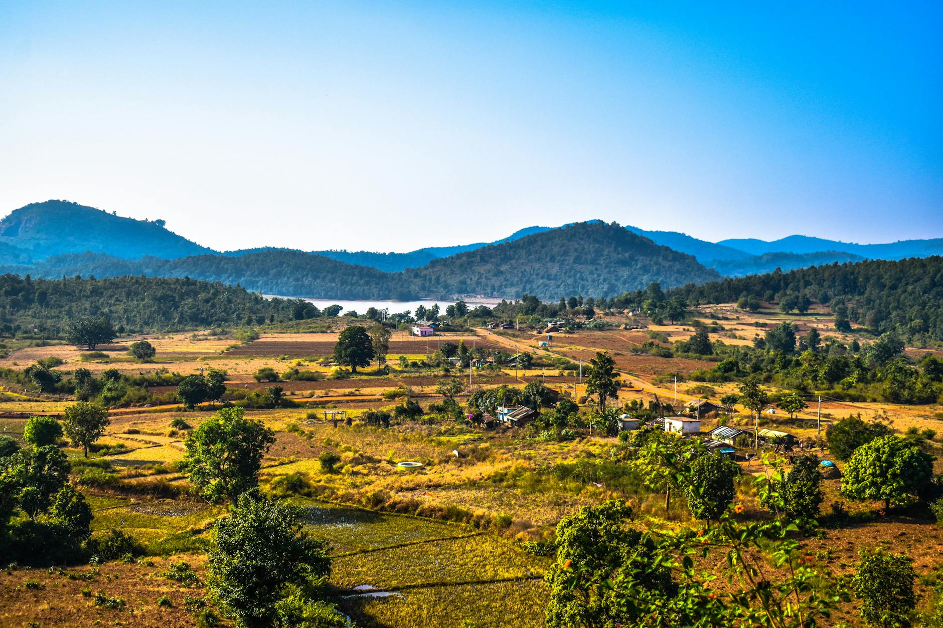 What to Expect — Koraput